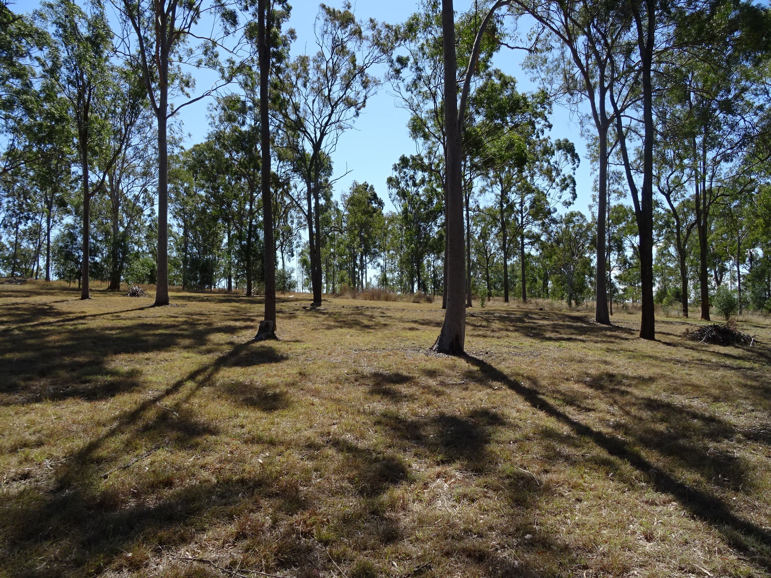 45 Duncan Dr, Aratula, Aratula - Thumbnail 5