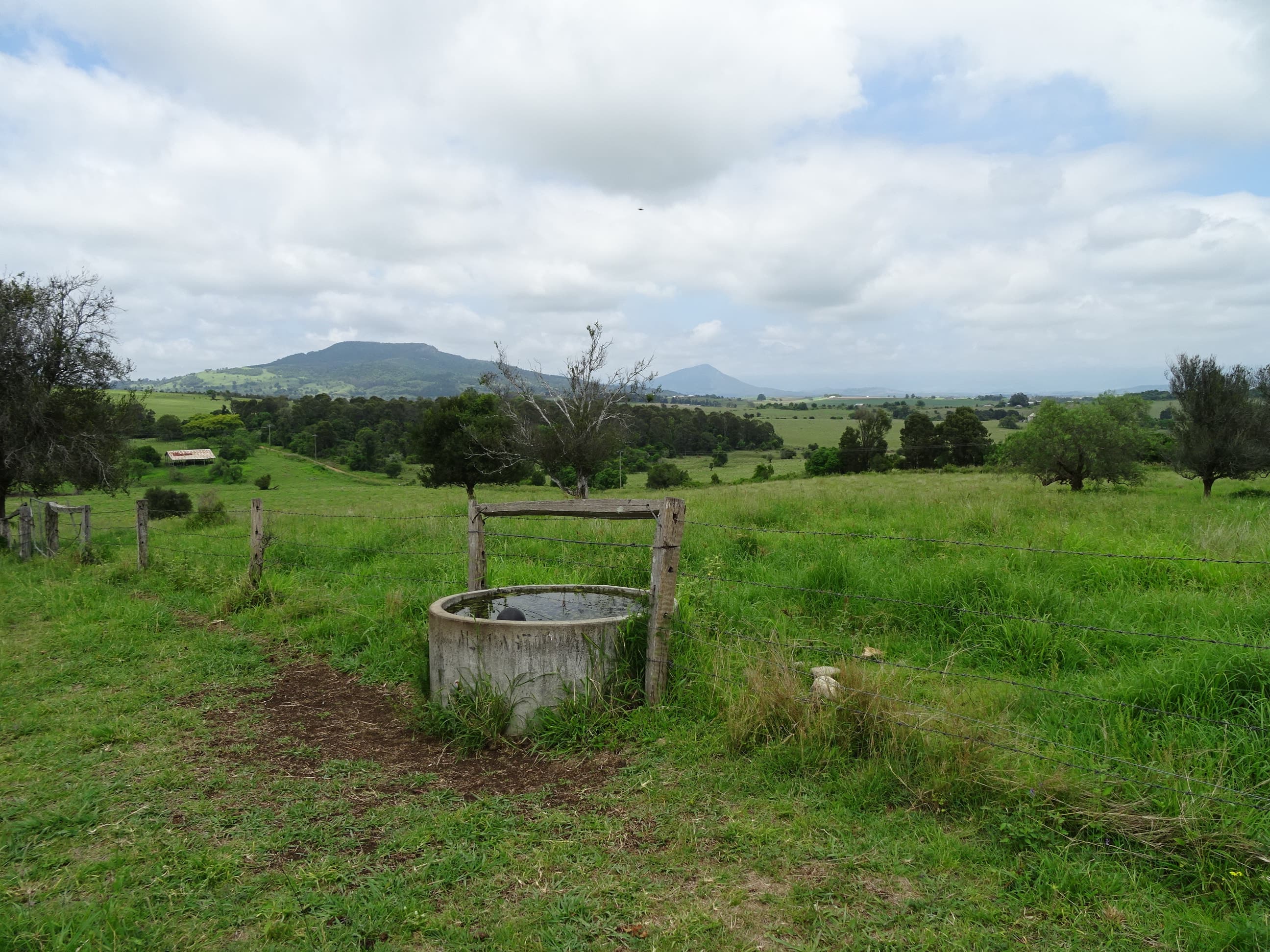 338 Teviotville Road, Teviotville, Teviotville - Thumbnail 4