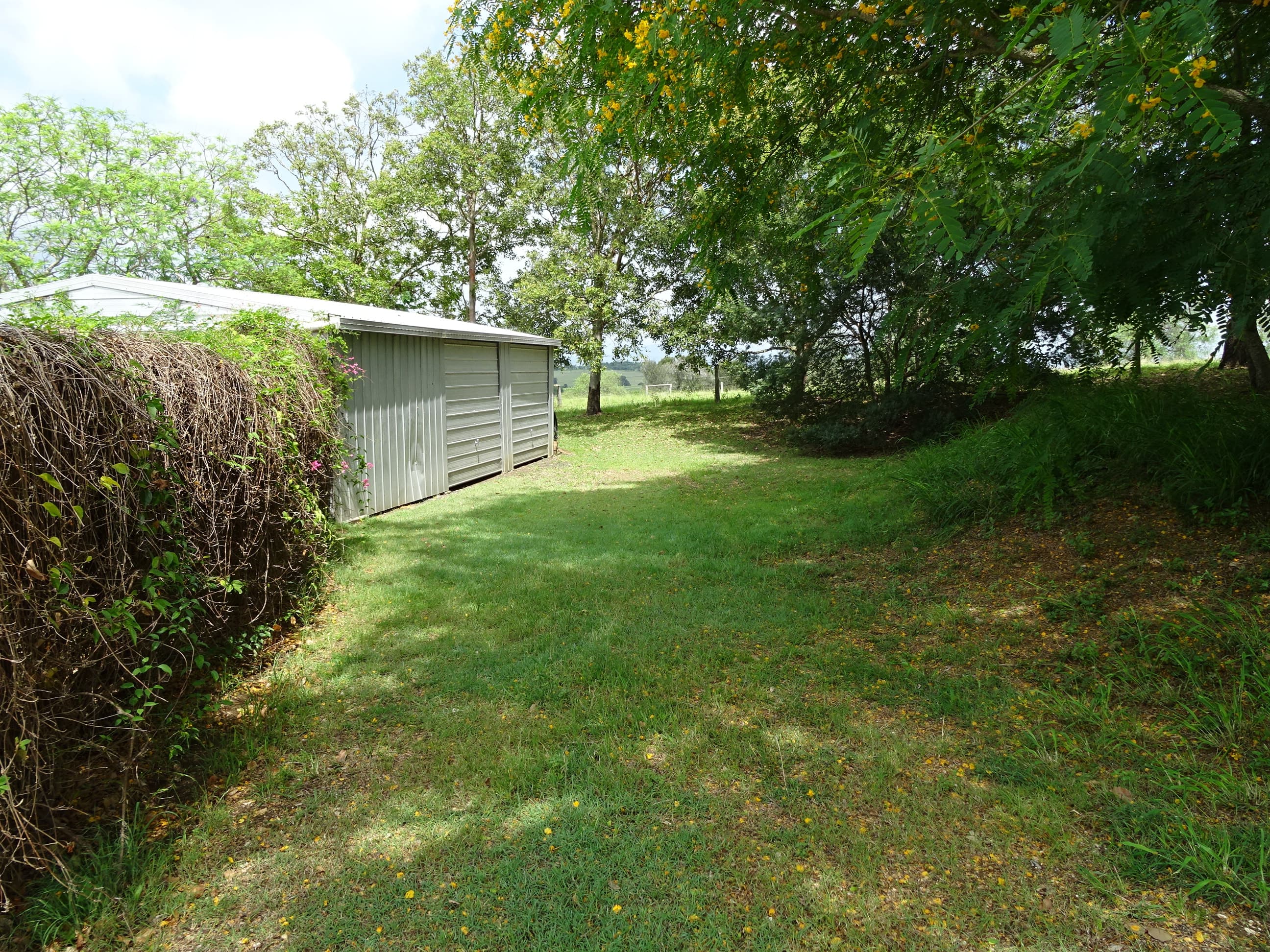 338 Teviotville Road, Teviotville, Teviotville - Thumbnail 8