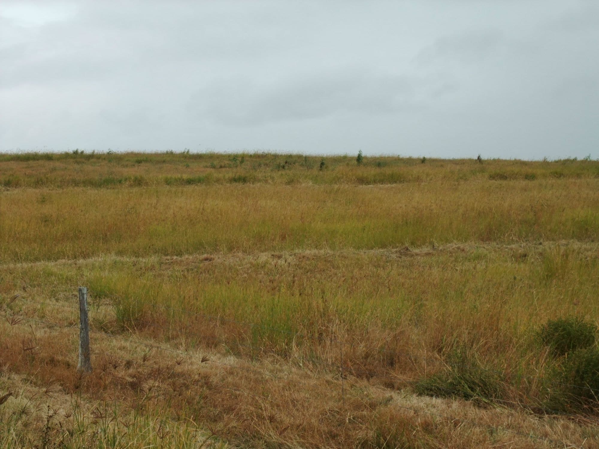 Lot 30 Ipswich Boonah Road, Milbong - Thumbnail 2