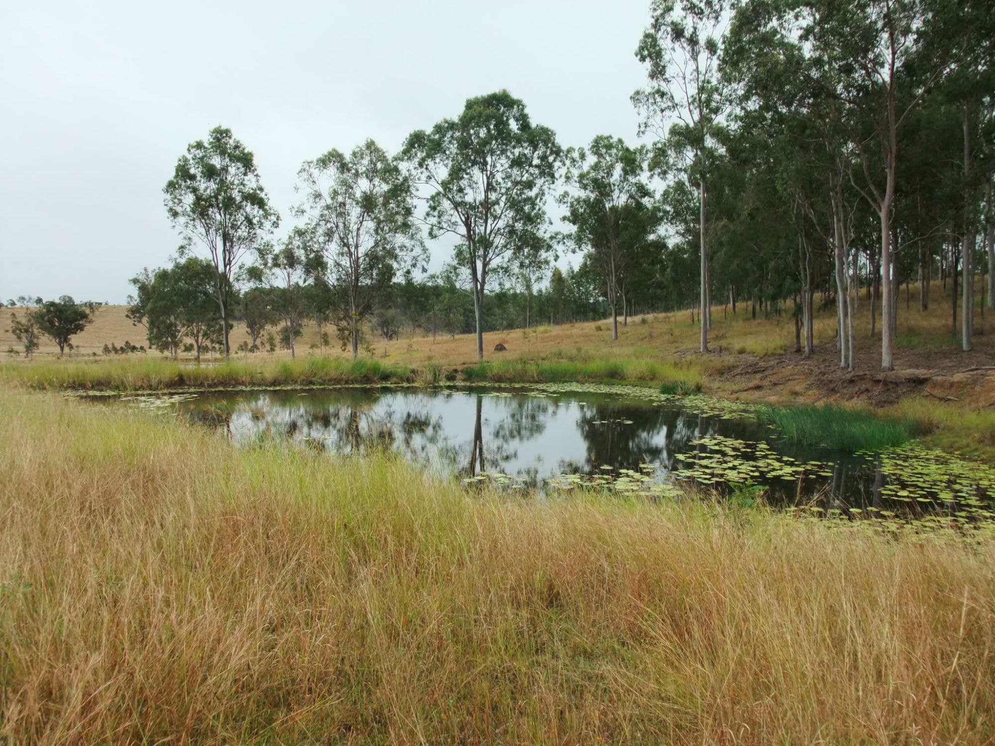 Lot 30 Ipswich Boonah Road, Milbong - Thumbnail 3