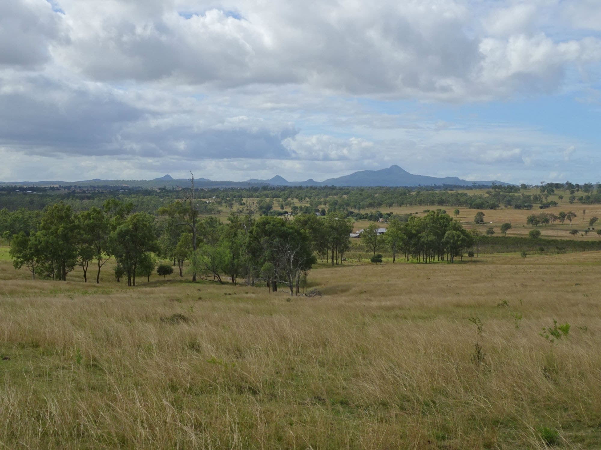 517 Munbilla Road, Munbilla - Image 1