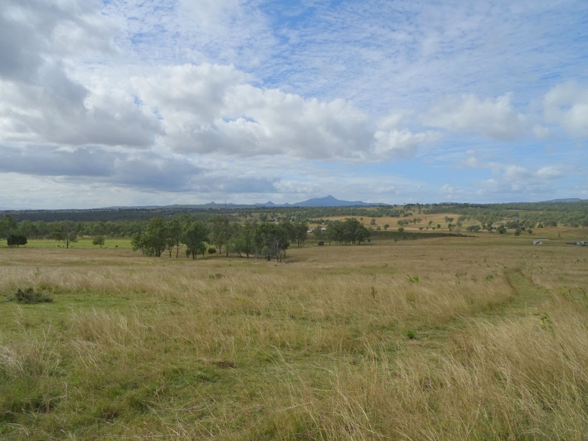 517 Munbilla Road, Munbilla - Thumbnail 2