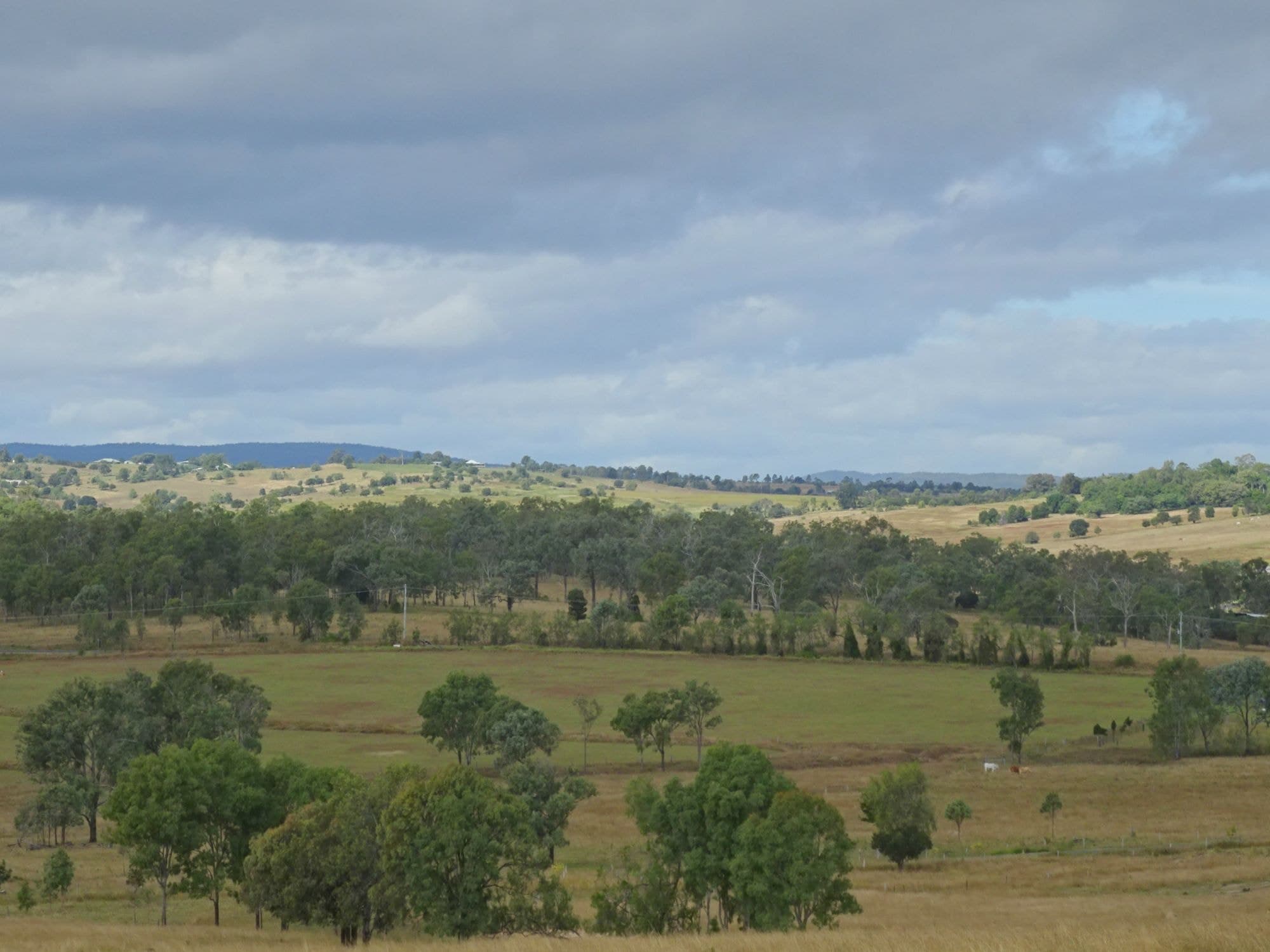 517 Munbilla Road, Munbilla - Thumbnail 3