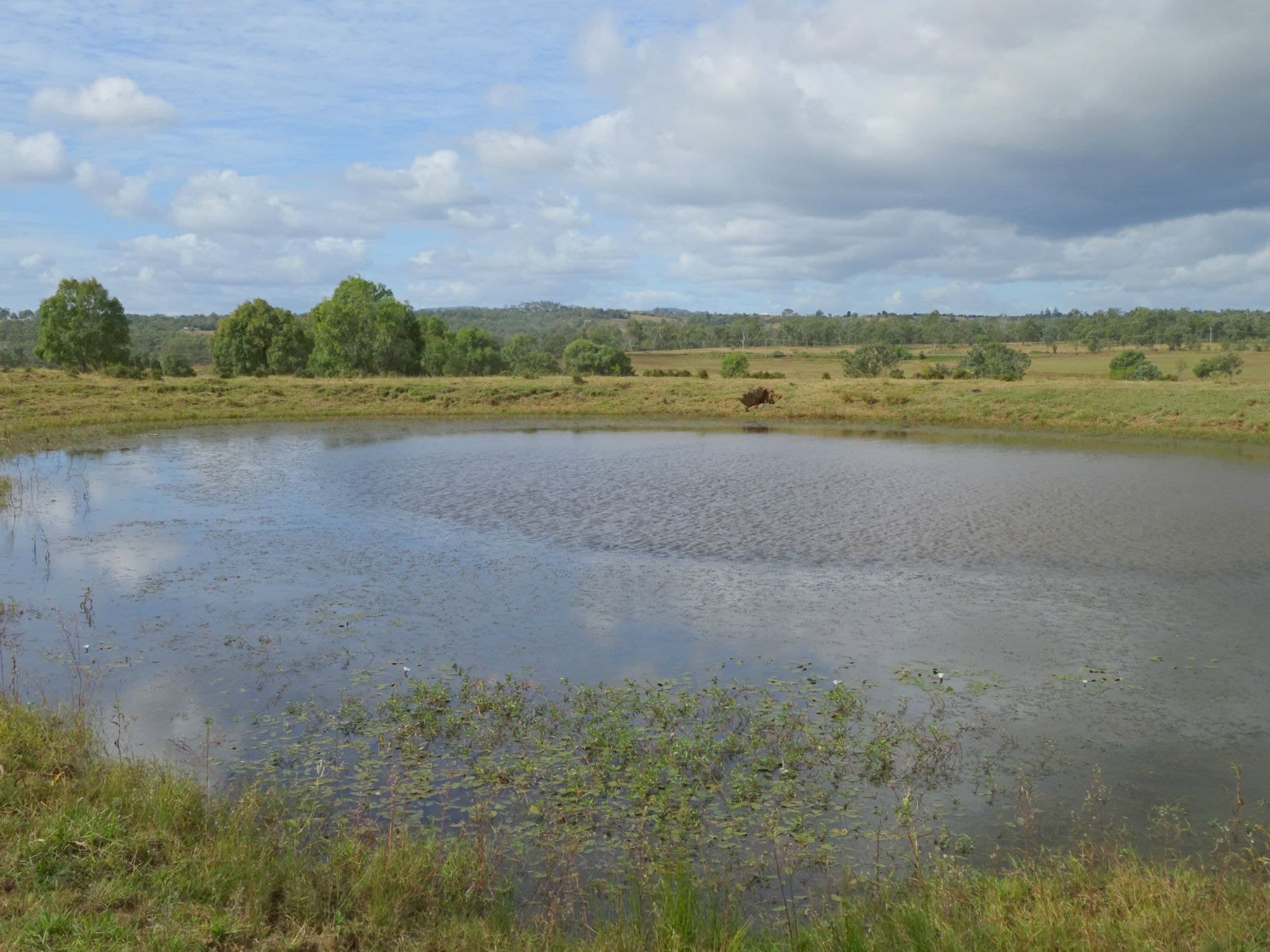 517 Munbilla Road, Munbilla - Thumbnail 4