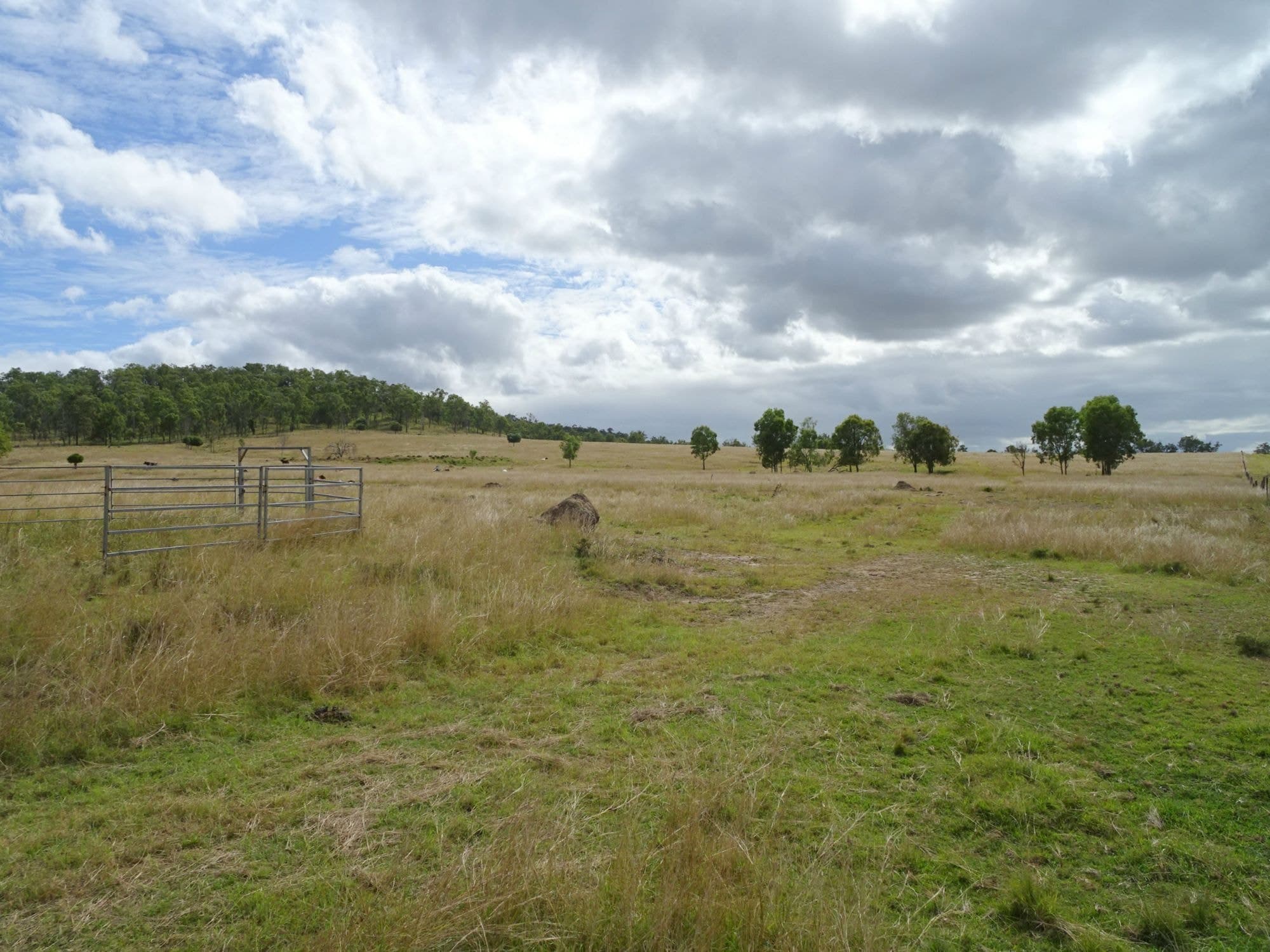 517 Munbilla Road, Munbilla - Thumbnail 5