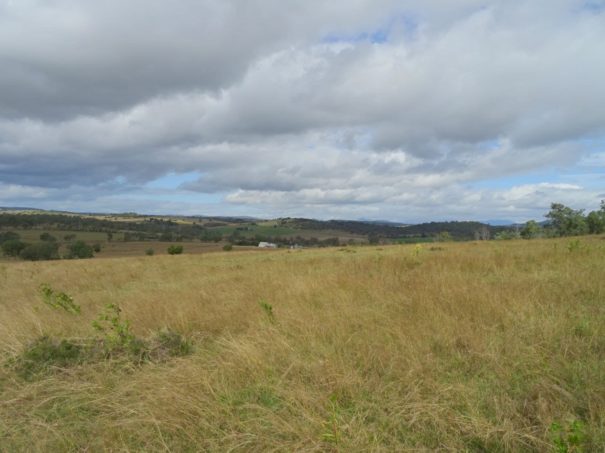 517 Munbilla Road, Munbilla - Thumbnail 7