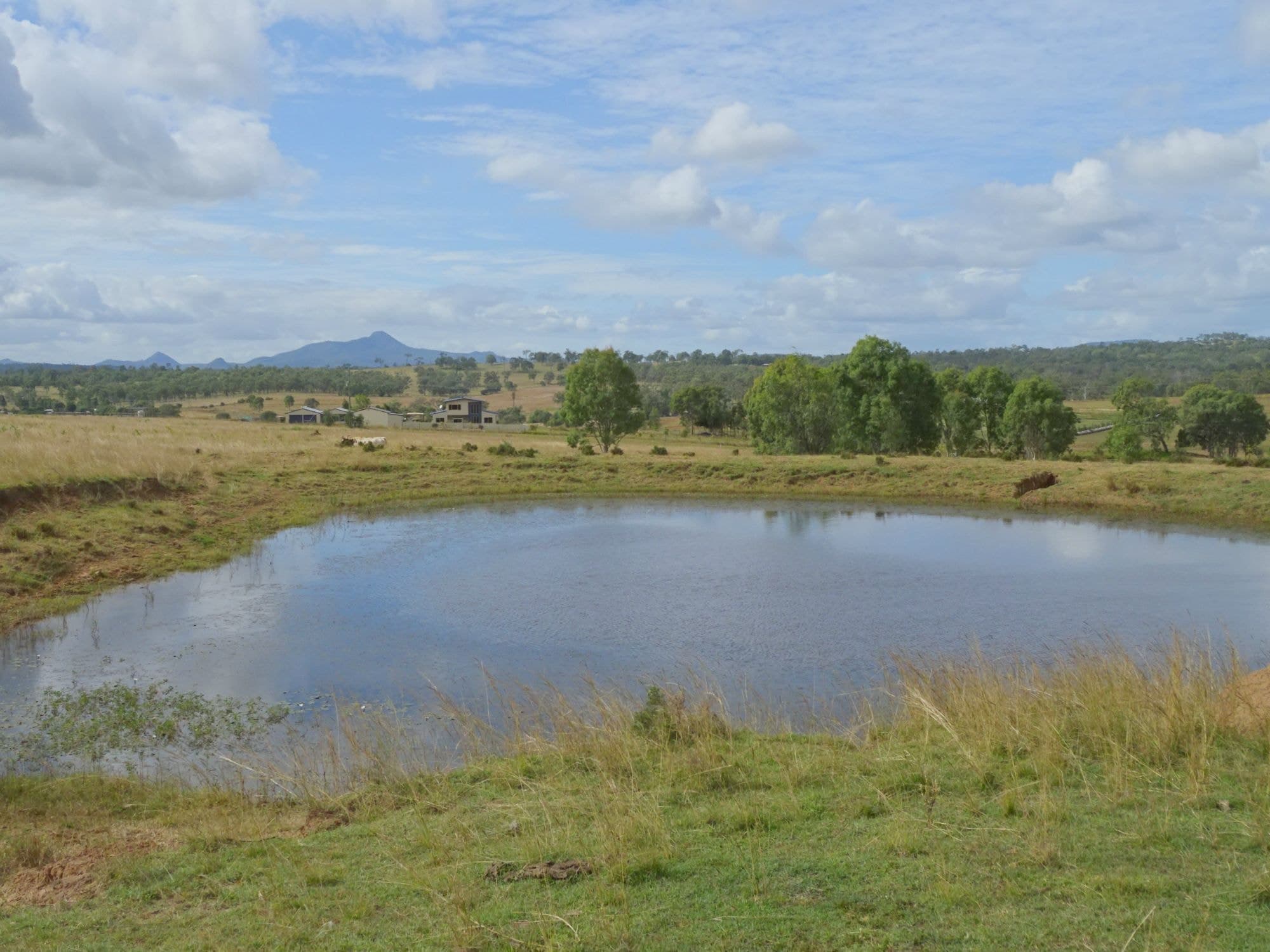 517 Munbilla Road, Munbilla - Thumbnail 8