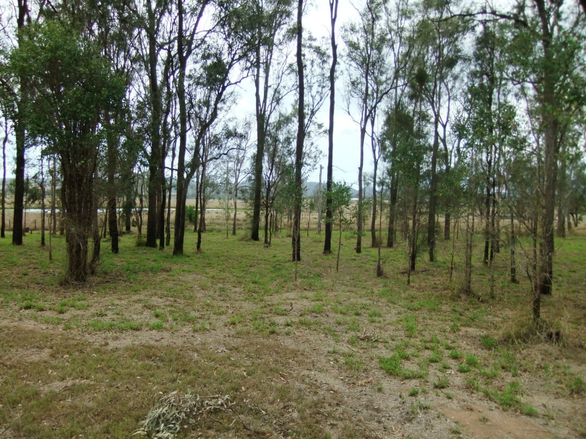 173 Peak Crossing Churchbank Road, Peak Crossing - Thumbnail 8