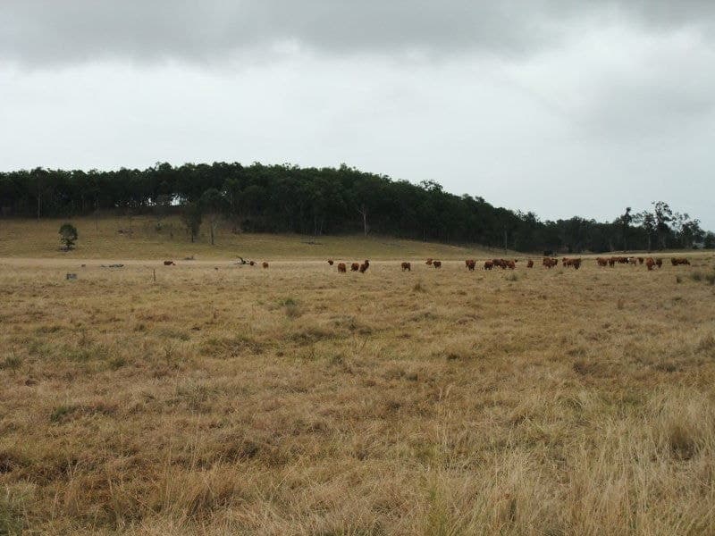 Lot 31 Ipswich Boonah Road, Milbong - Thumbnail 2