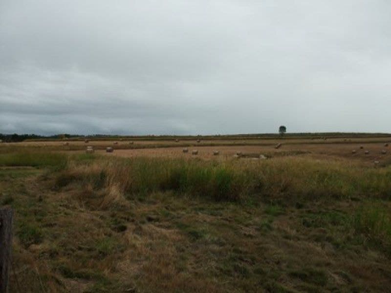 Lot 31 Ipswich Boonah Road, Milbong - Thumbnail 3