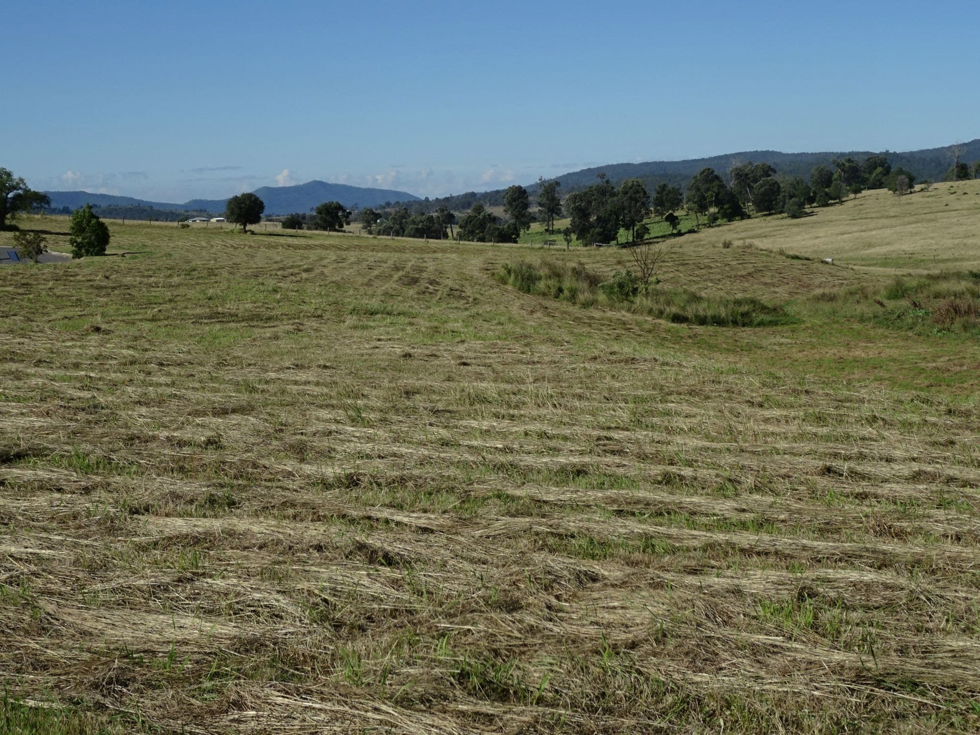 Lot 4 Berrymann Circuit, Boonah - Image 1