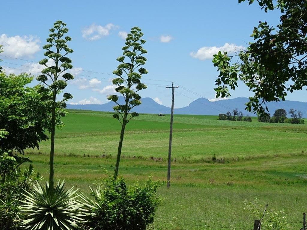 47A George Street, Kalbar, Kalbar - Thumbnail 2