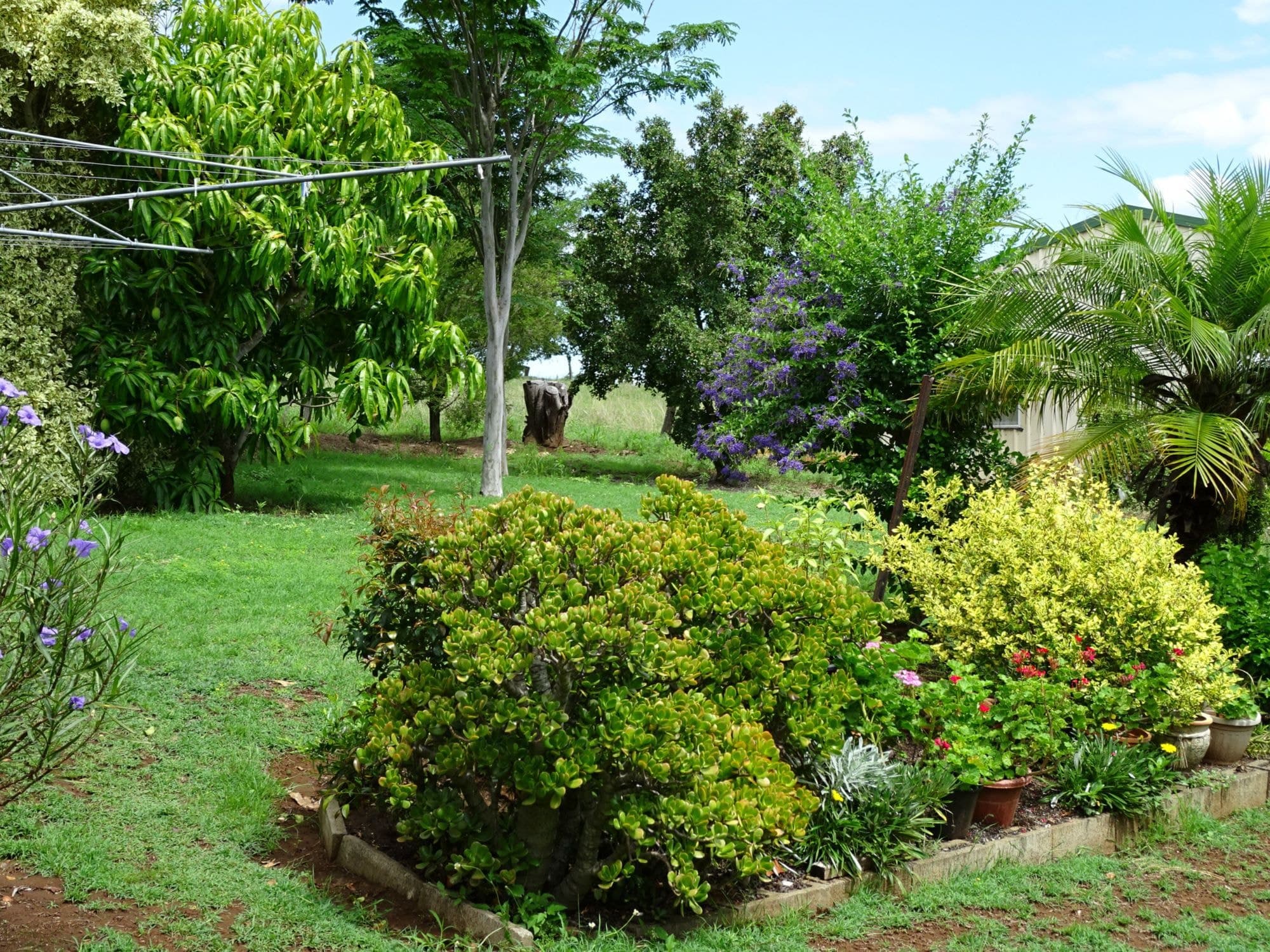 26 Moffatt Street, Kalbar - Thumbnail 8