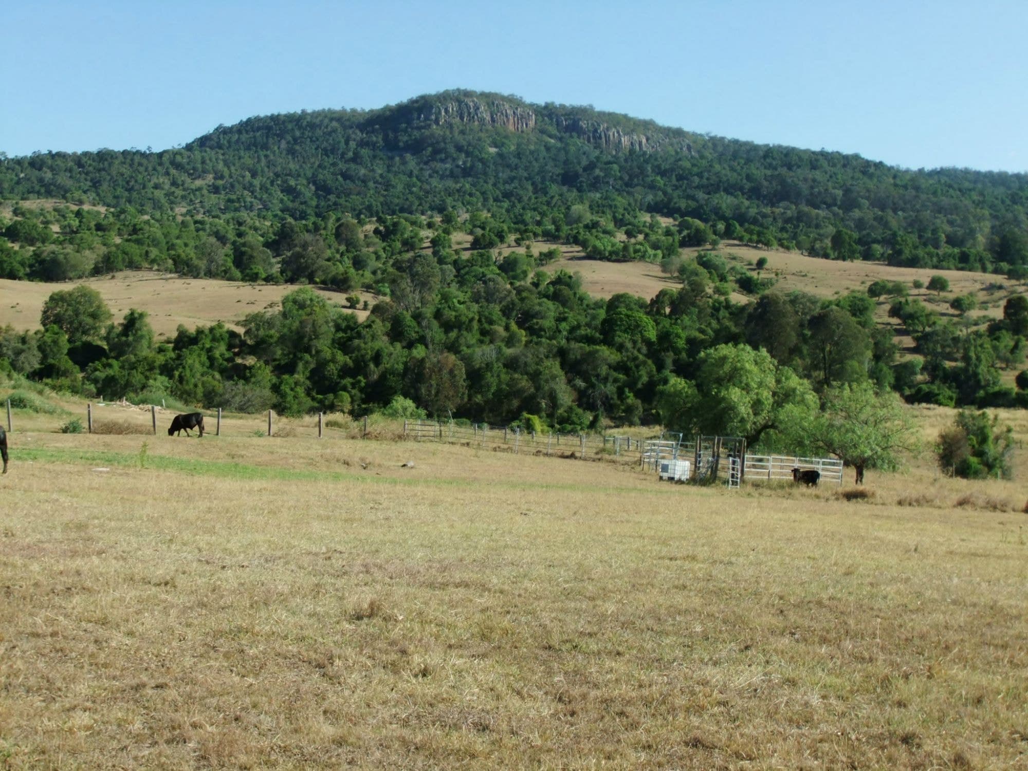 Lot 3 Boonah Fassifern Road, Kalbar - Image 1