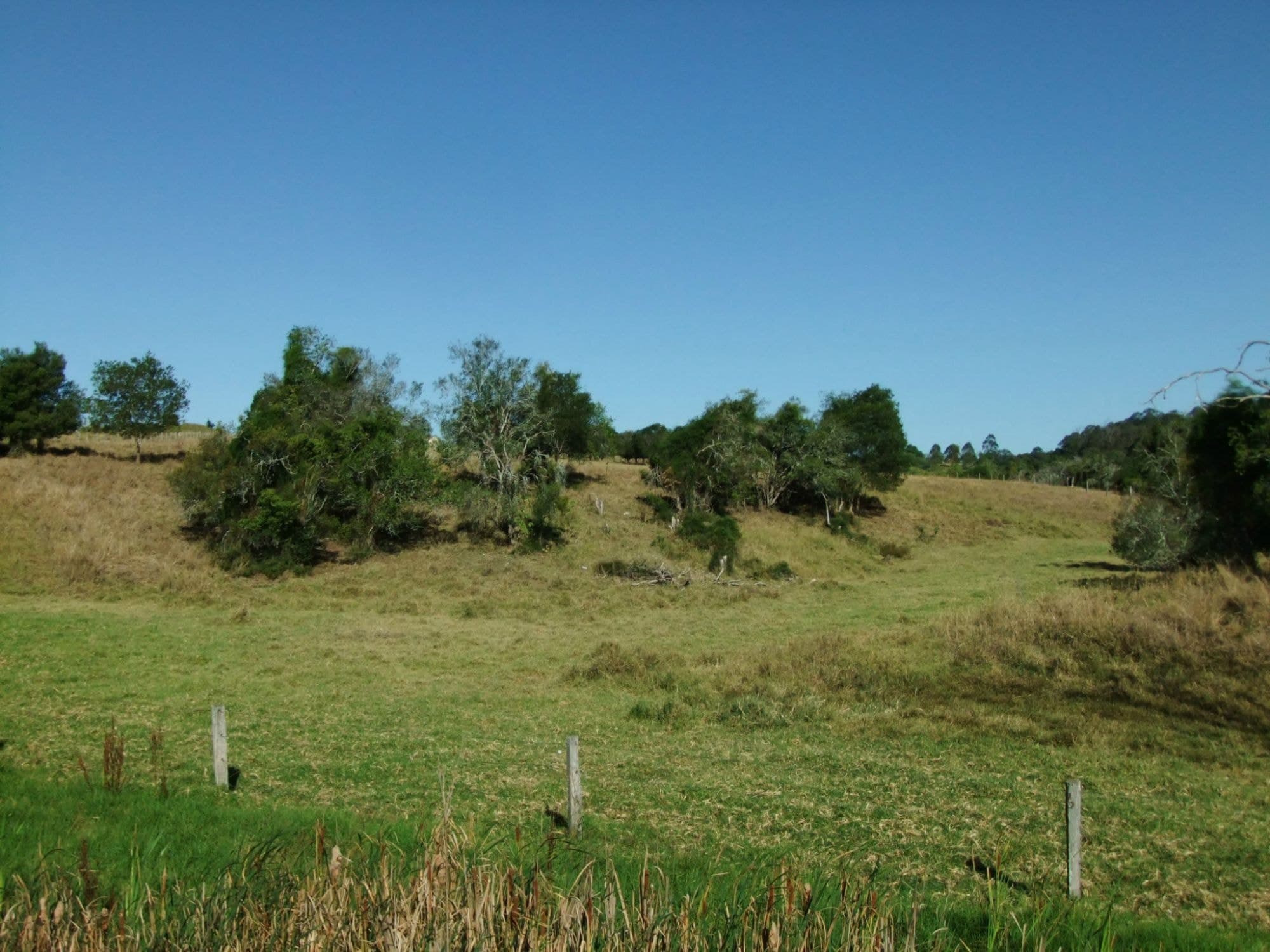 Lot 3 Boonah Fassifern Road, Kalbar - Thumbnail 3