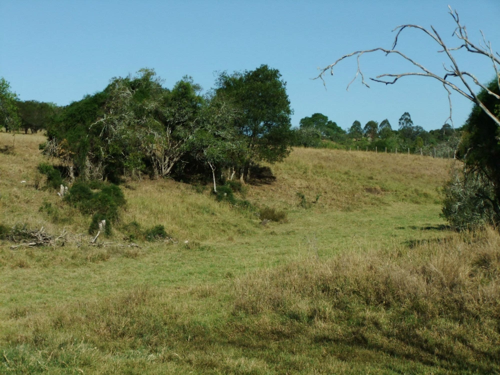 Lot 3 Boonah Fassifern Road, Kalbar - Thumbnail 8