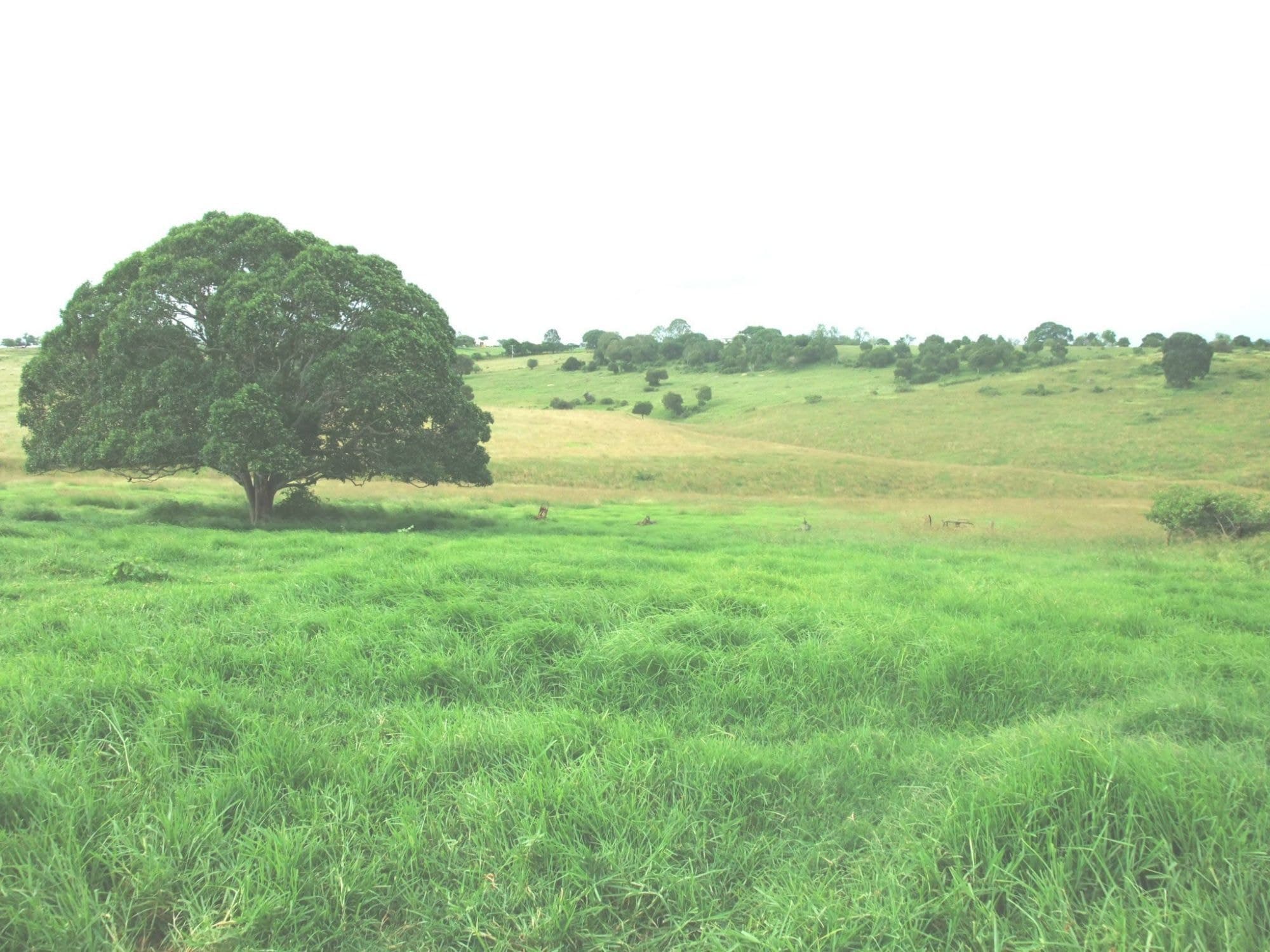 Lot 10 HEISE Road, Boonah - Thumbnail 3