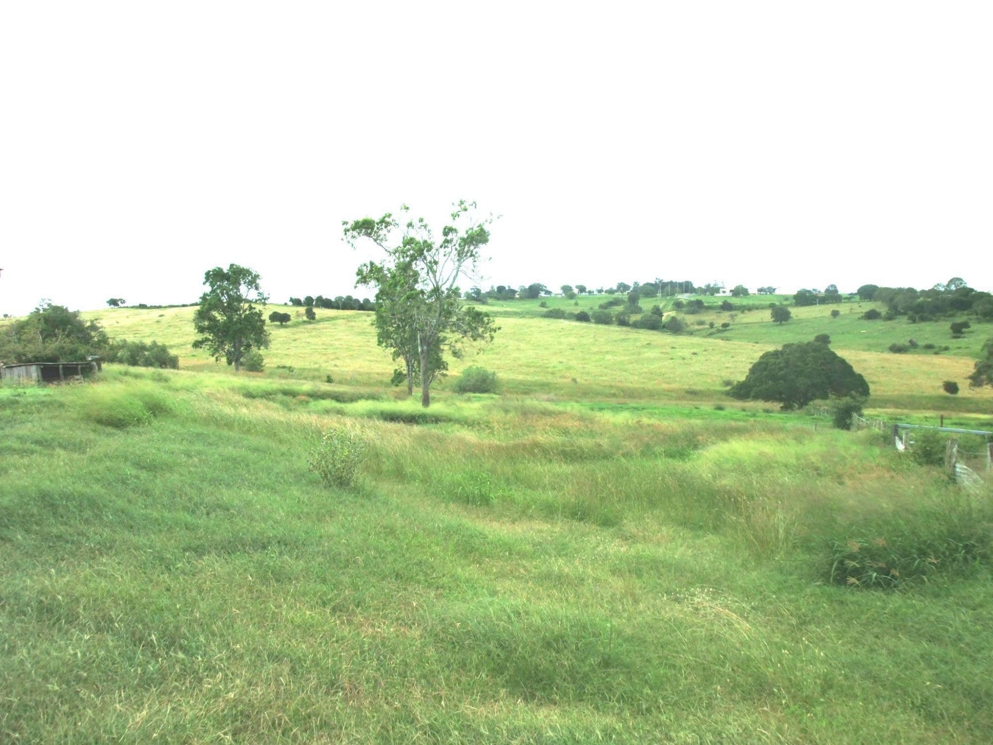 Lot 10 HEISE Road, Boonah - Thumbnail 4