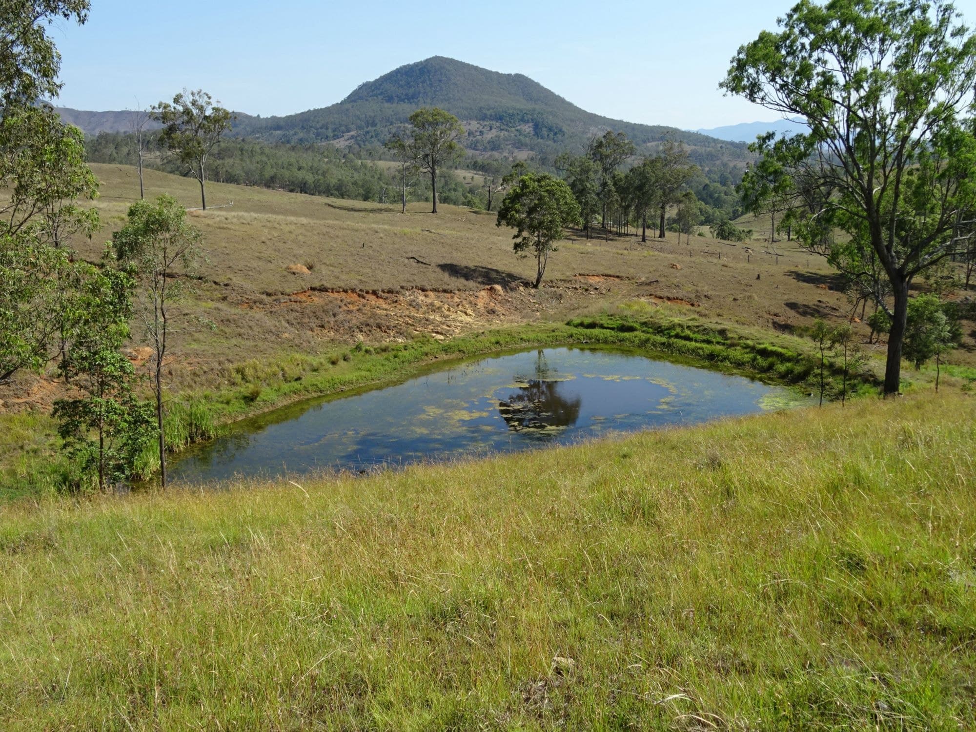621 Cannon Creek Road, Boonah - Thumbnail 4