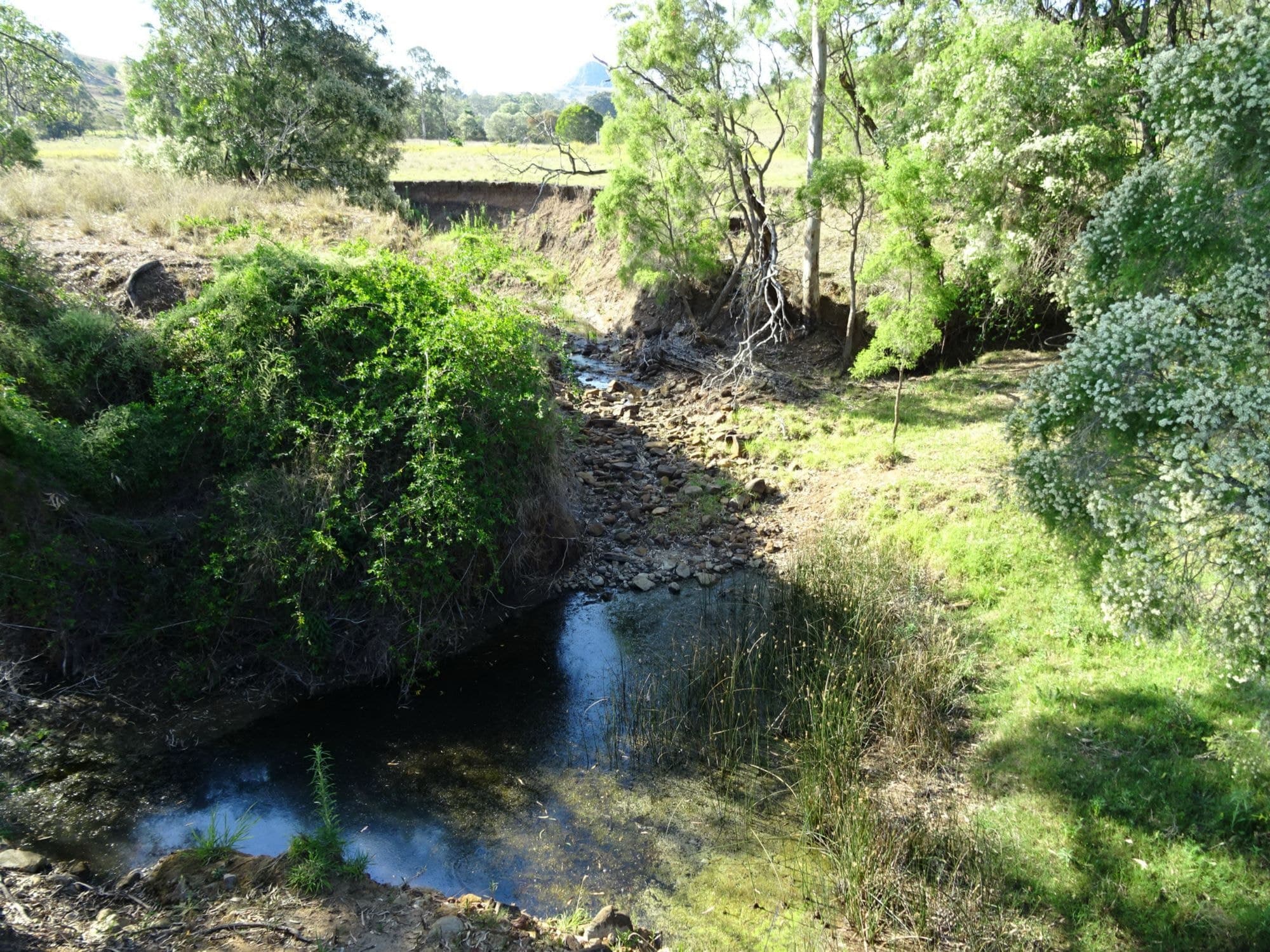 621 Cannon Creek Road, Boonah - Thumbnail 8