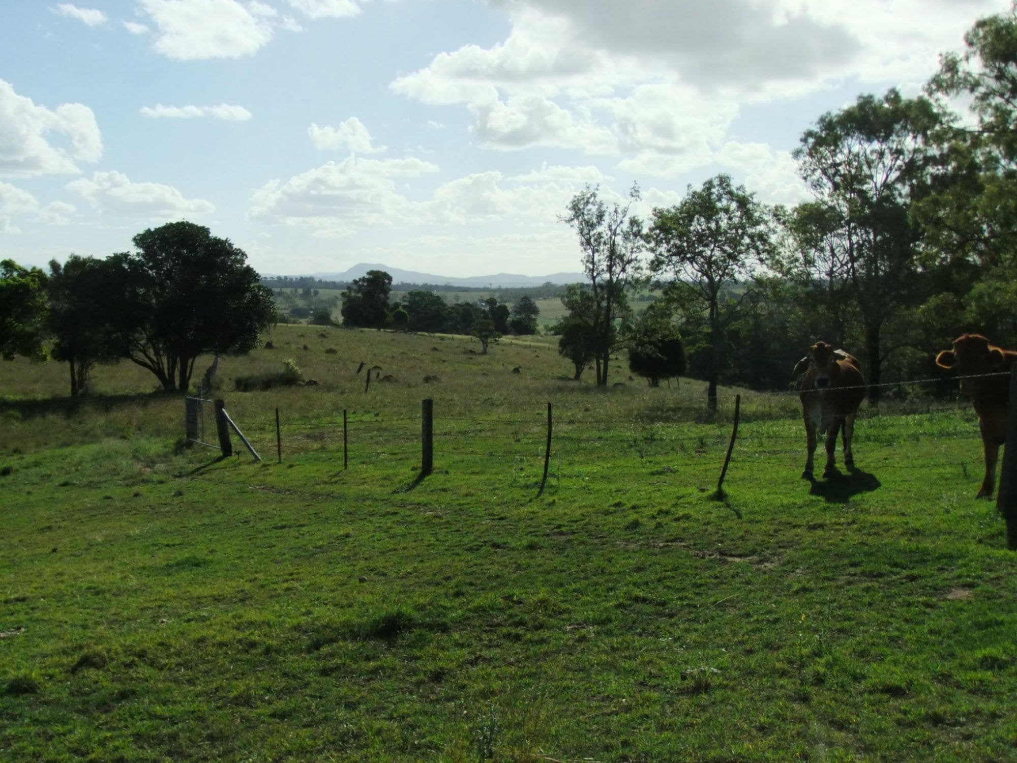 Lot 170 Zingelmann Road, Milbong - Thumbnail 2