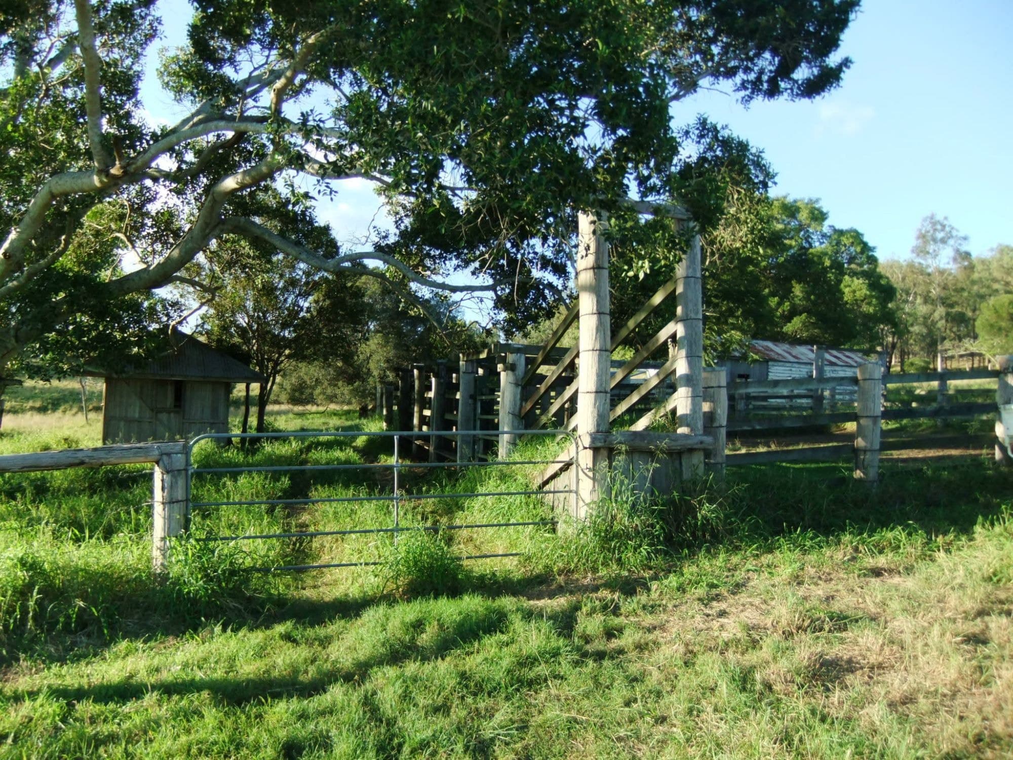 Lot 170 Zingelmann Road, Milbong - Thumbnail 4