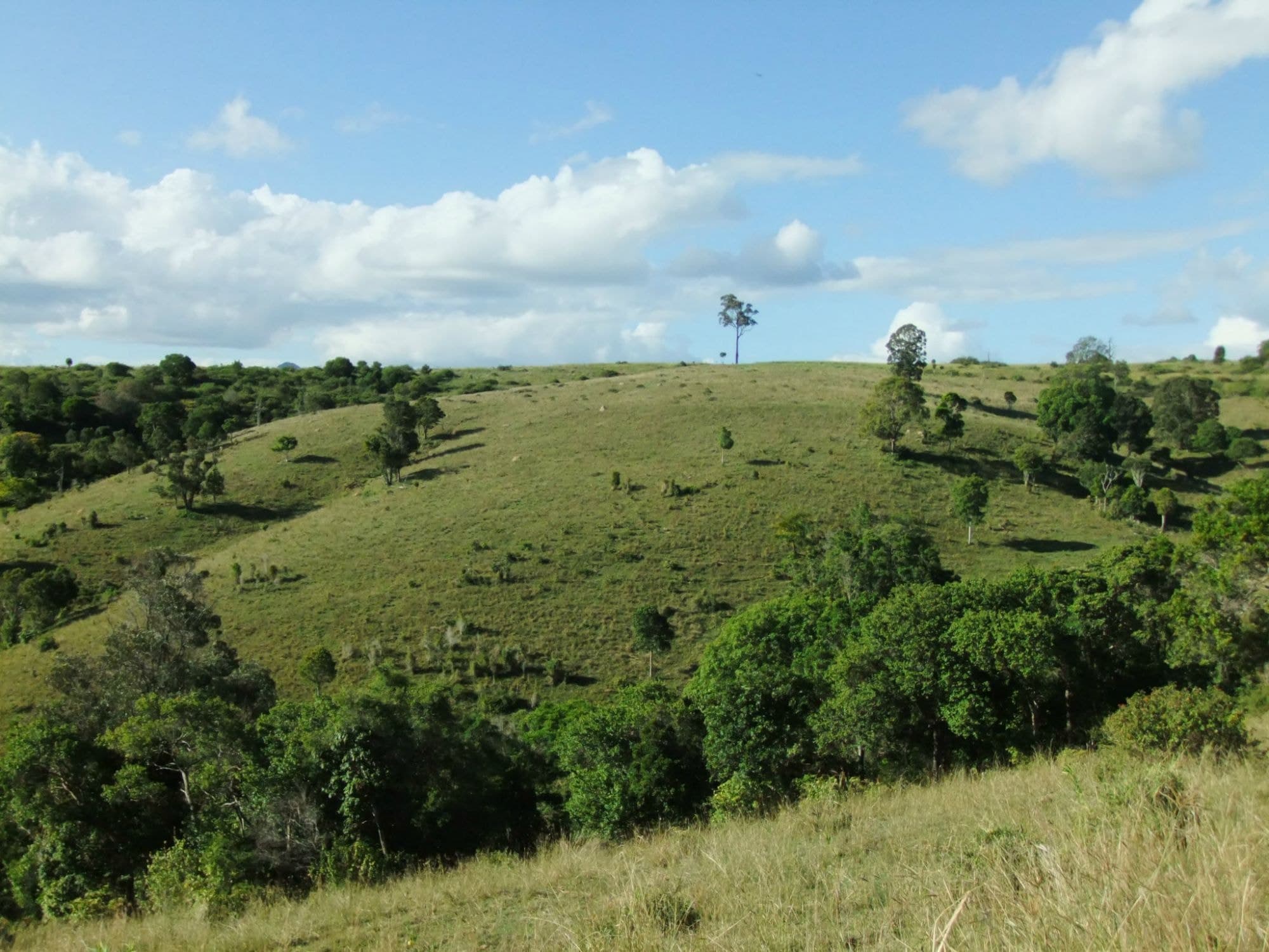 Lot 111 Zingelmann Road, Milbong - Thumbnail 2