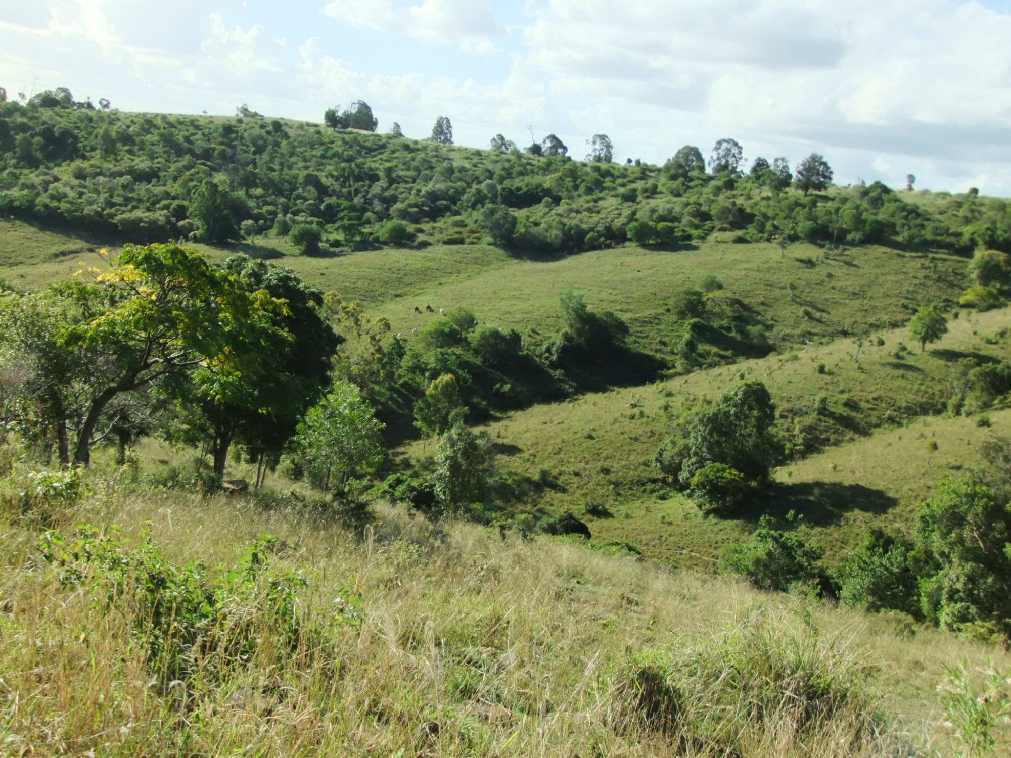 Lot 111 Zingelmann Road, Milbong - Thumbnail 3