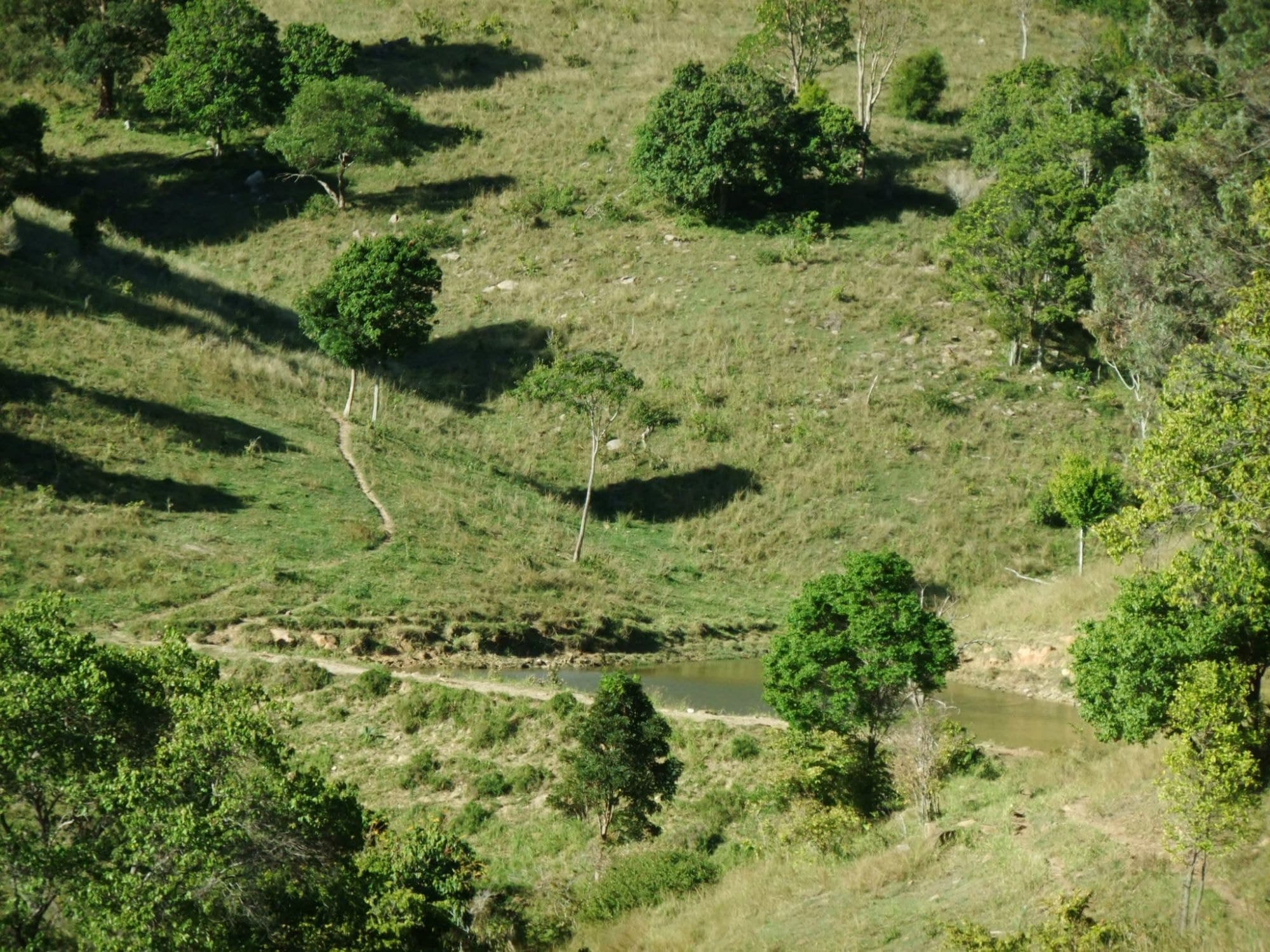 Lot 111 Zingelmann Road, Milbong - Thumbnail 6