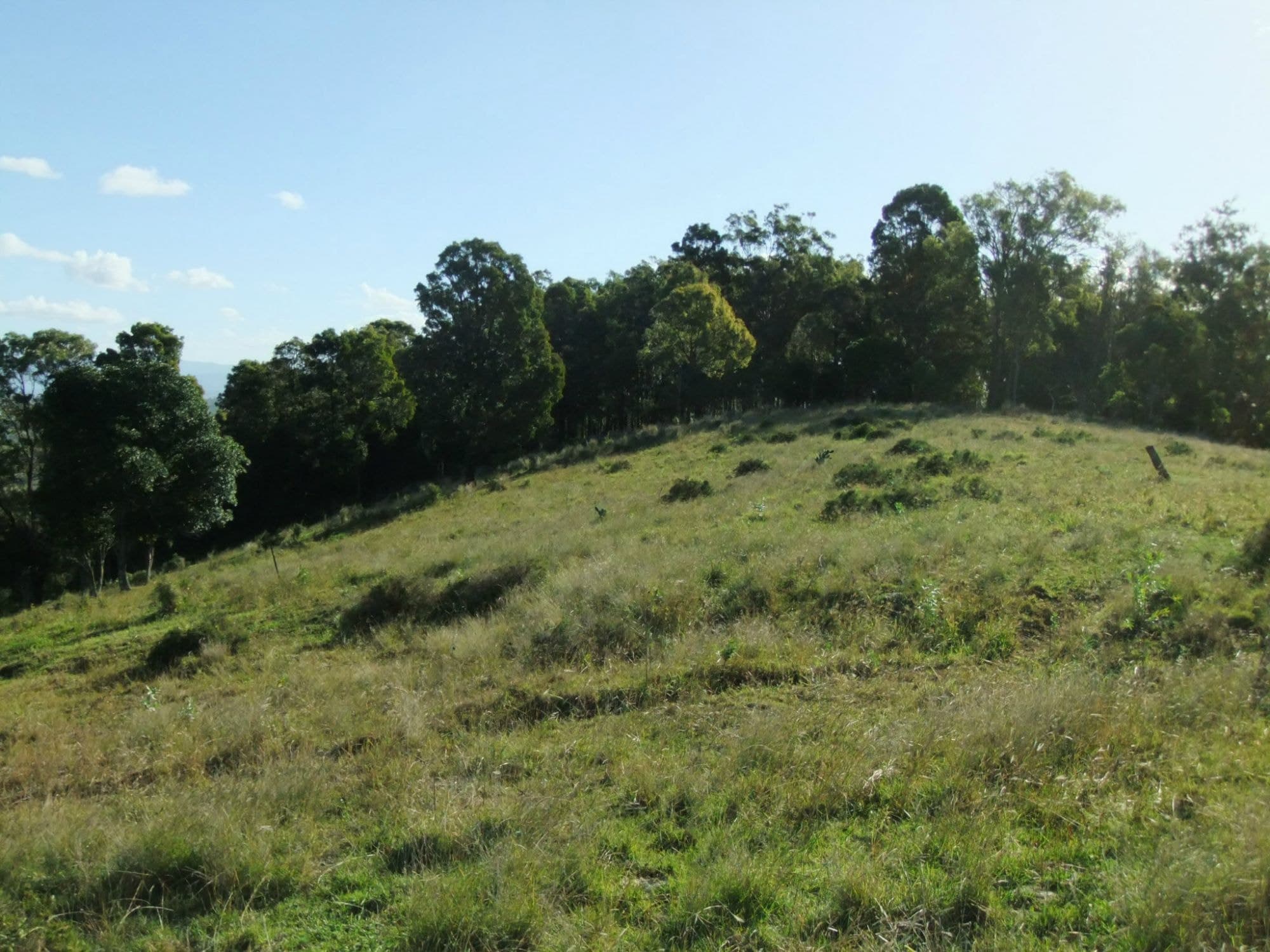 Lot 2 Zingelmann Road, Milbong - Image 1