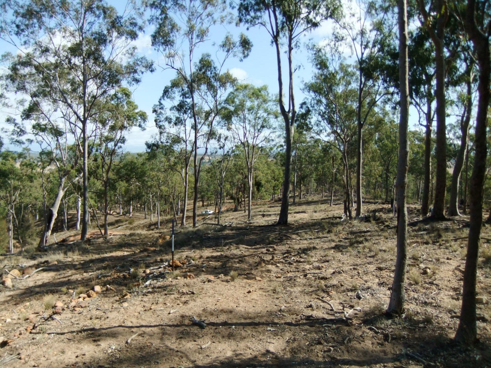 Lot 2 Zingelmann Road, Milbong - Thumbnail 2