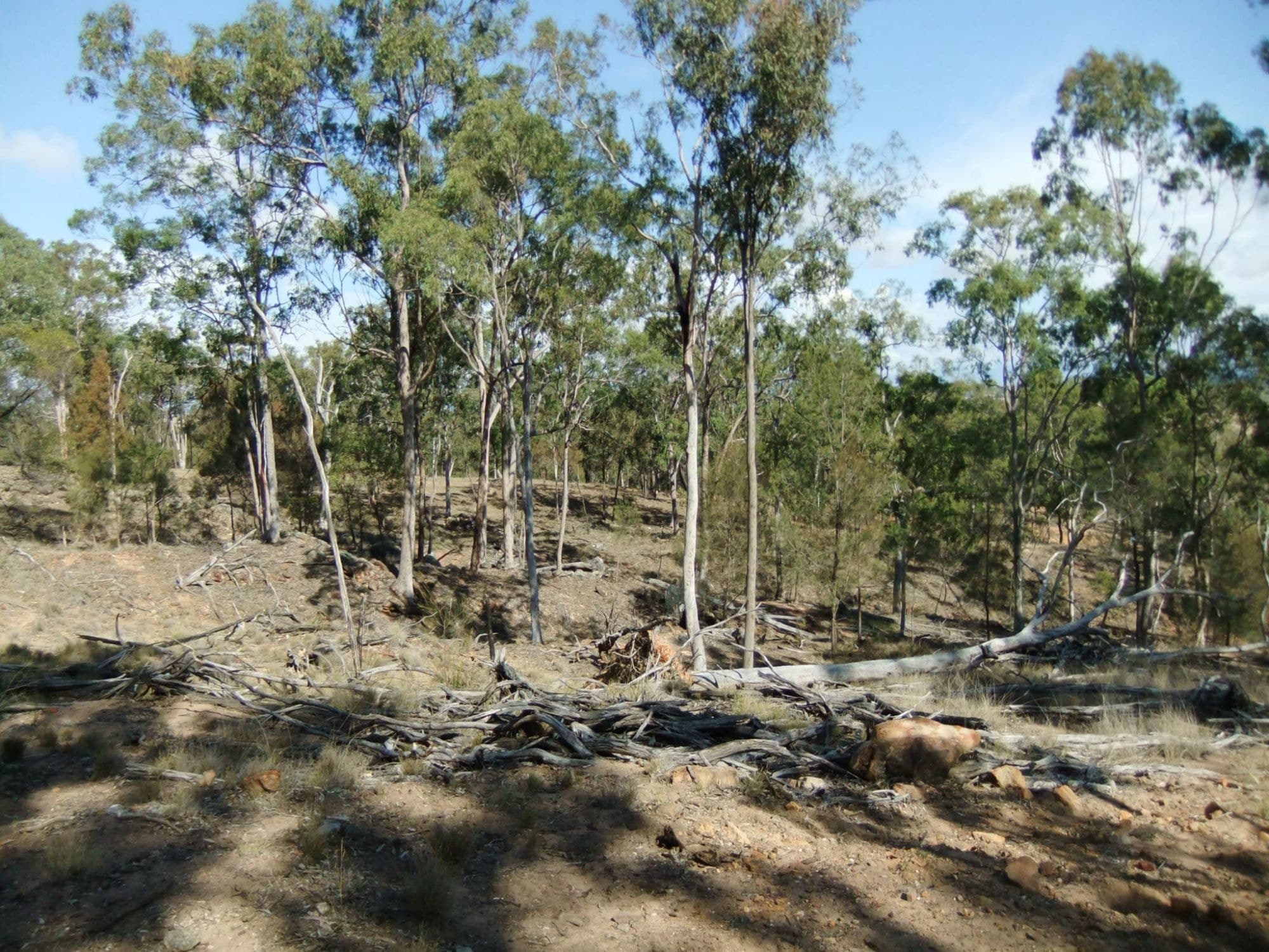 Lot 2 Zingelmann Road, Milbong - Thumbnail 4