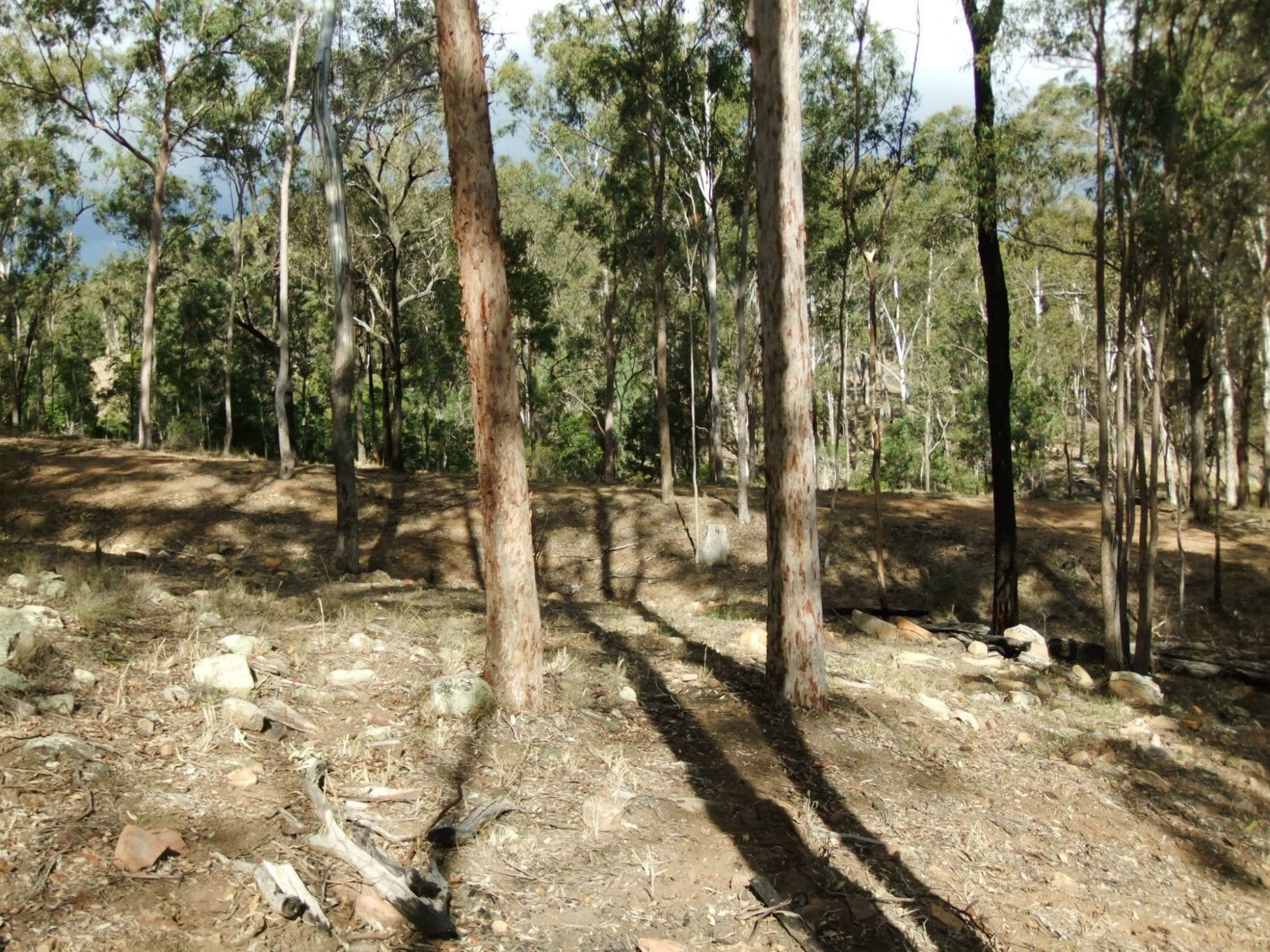 Lot 2 Zingelmann Road, Milbong - Thumbnail 5