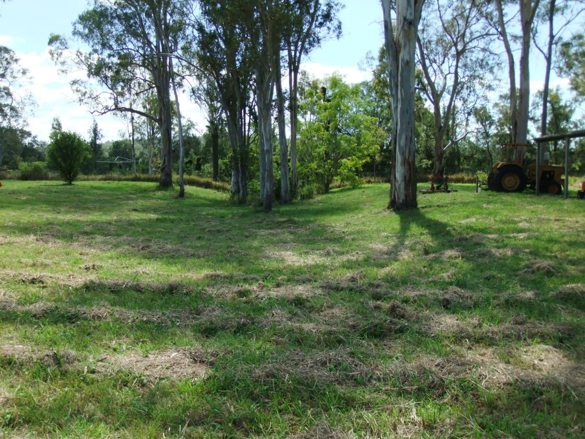 149 Spicers Gap Road, Clumber - Thumbnail 4
