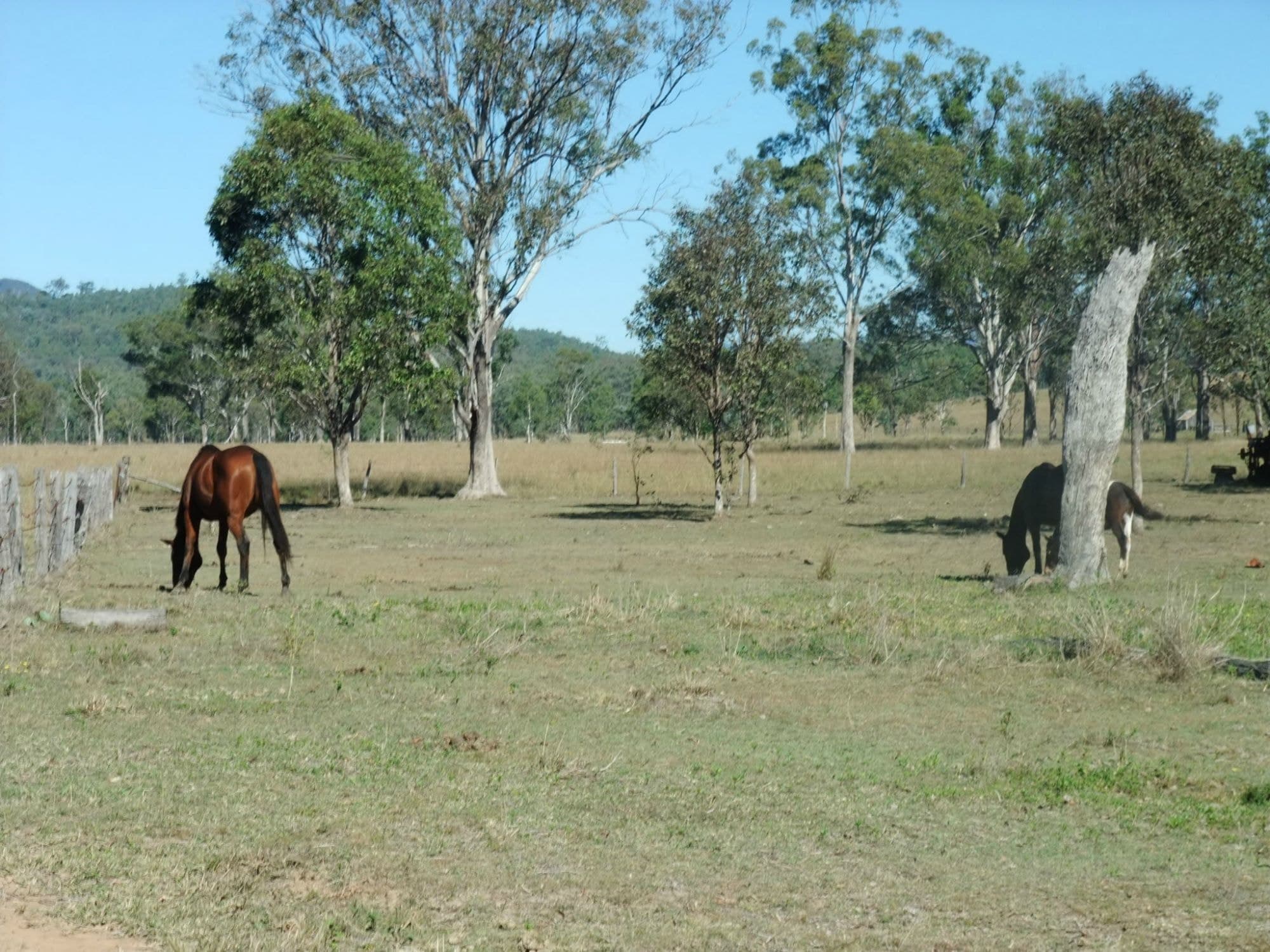 Lot 4 Old Rosevale Road, Rosevale - Image 1