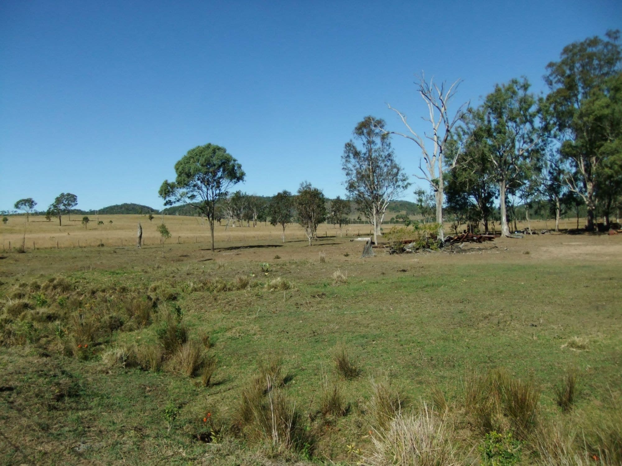 Lot 4 Old Rosevale Road, Rosevale - Thumbnail 2