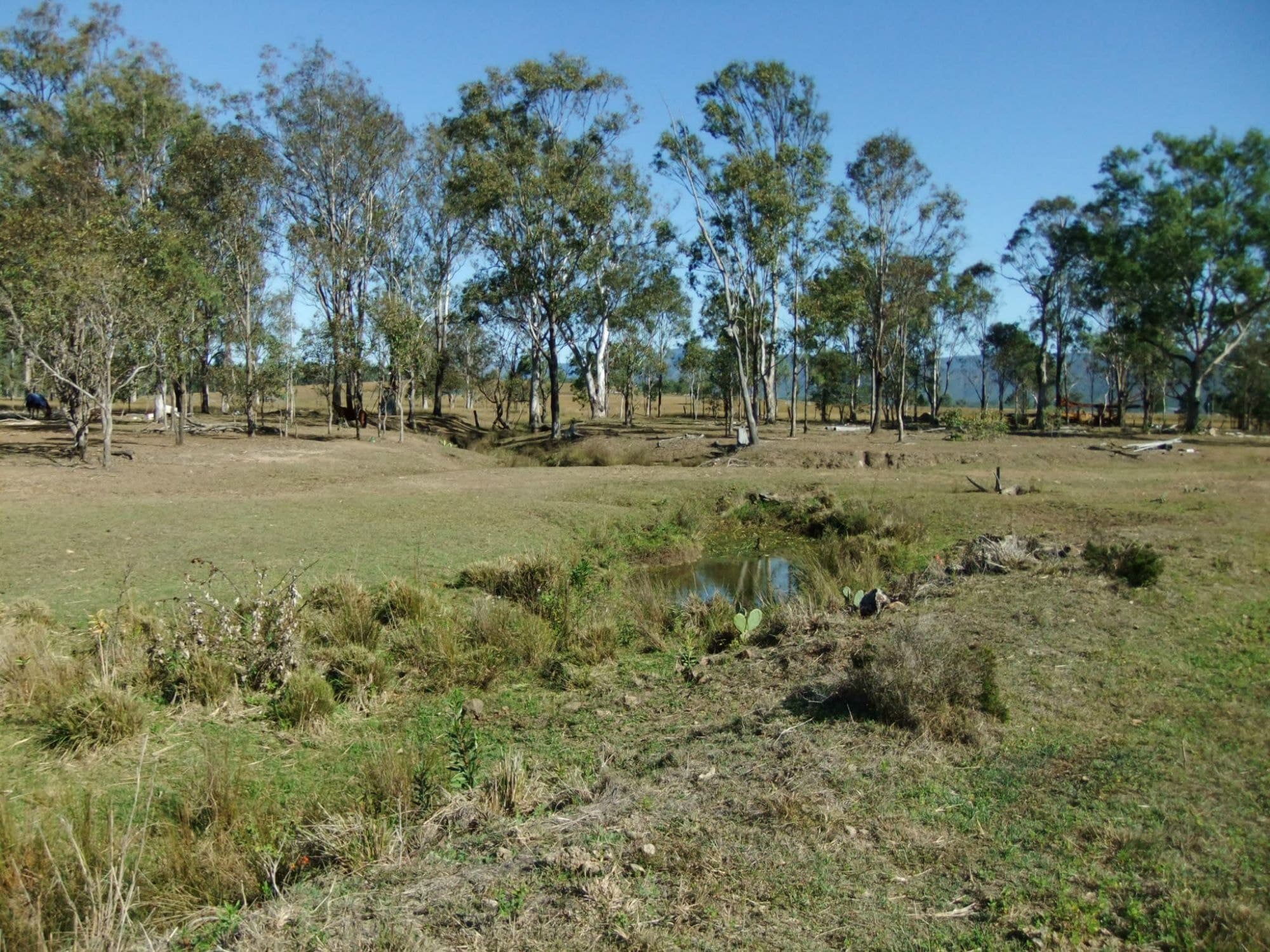 Lot 4 Old Rosevale Road, Rosevale - Thumbnail 3