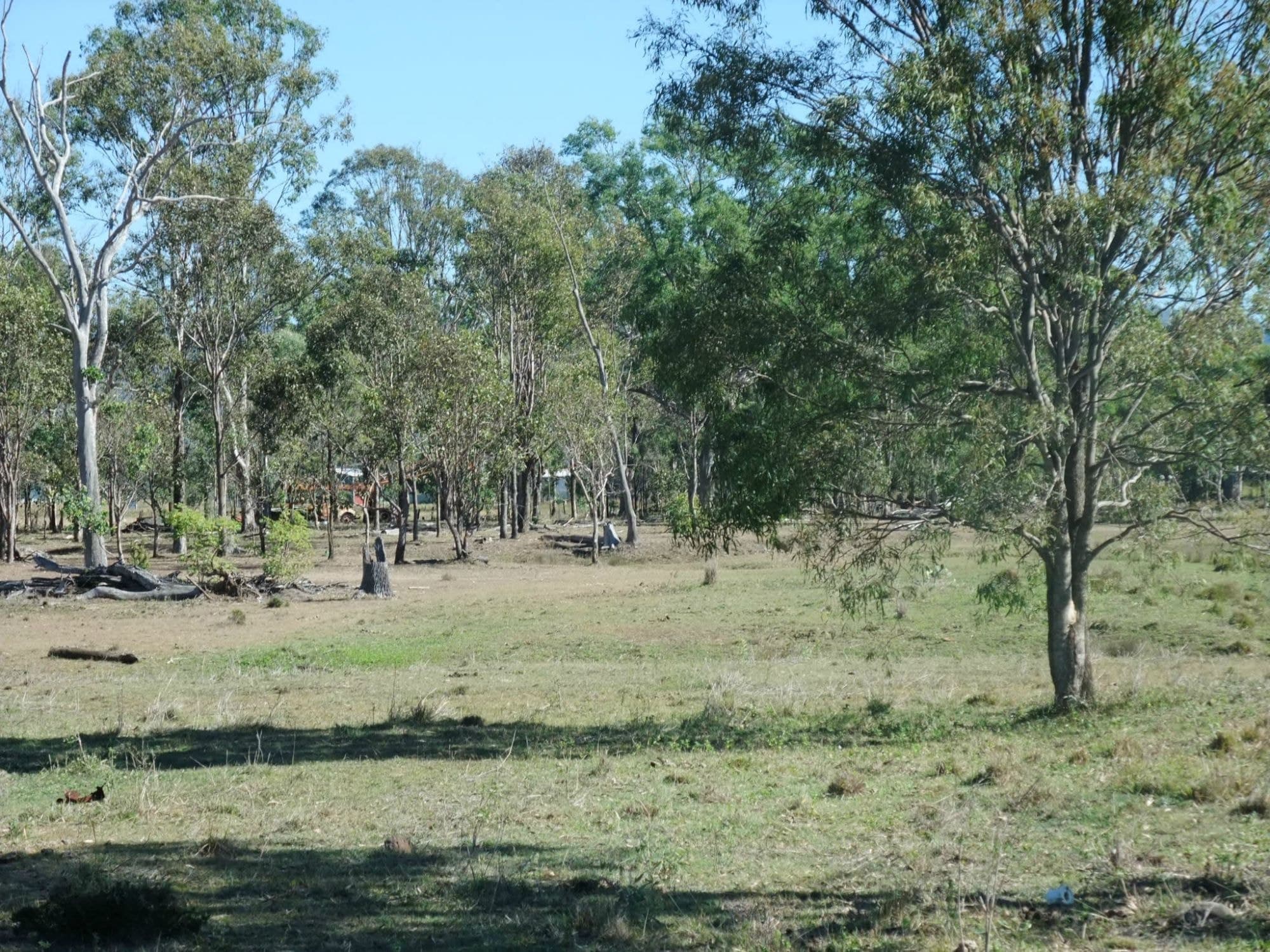 Lot 4 Old Rosevale Road, Rosevale - Thumbnail 4