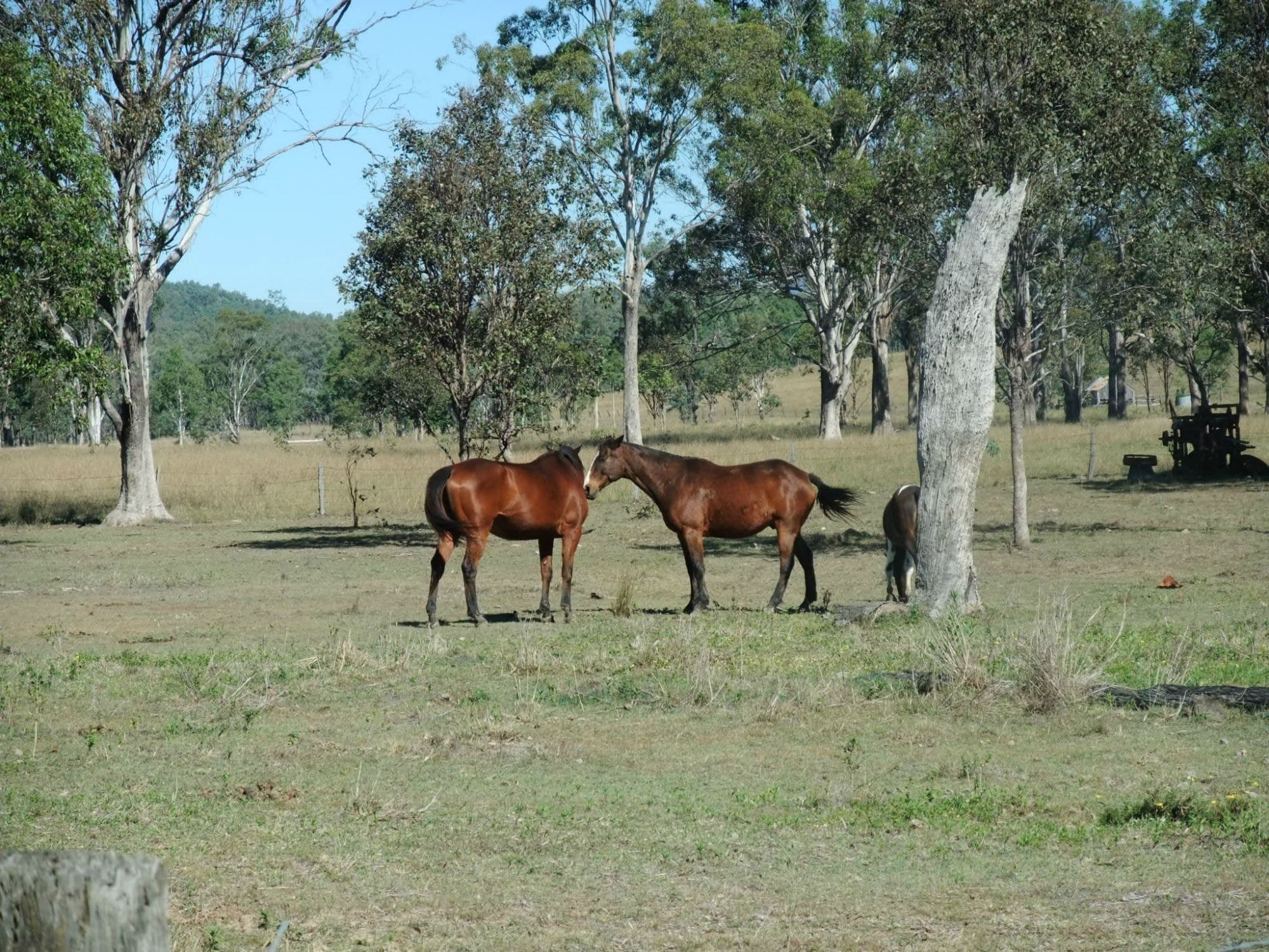 Lot 4 Old Rosevale Road, Rosevale - Thumbnail 5