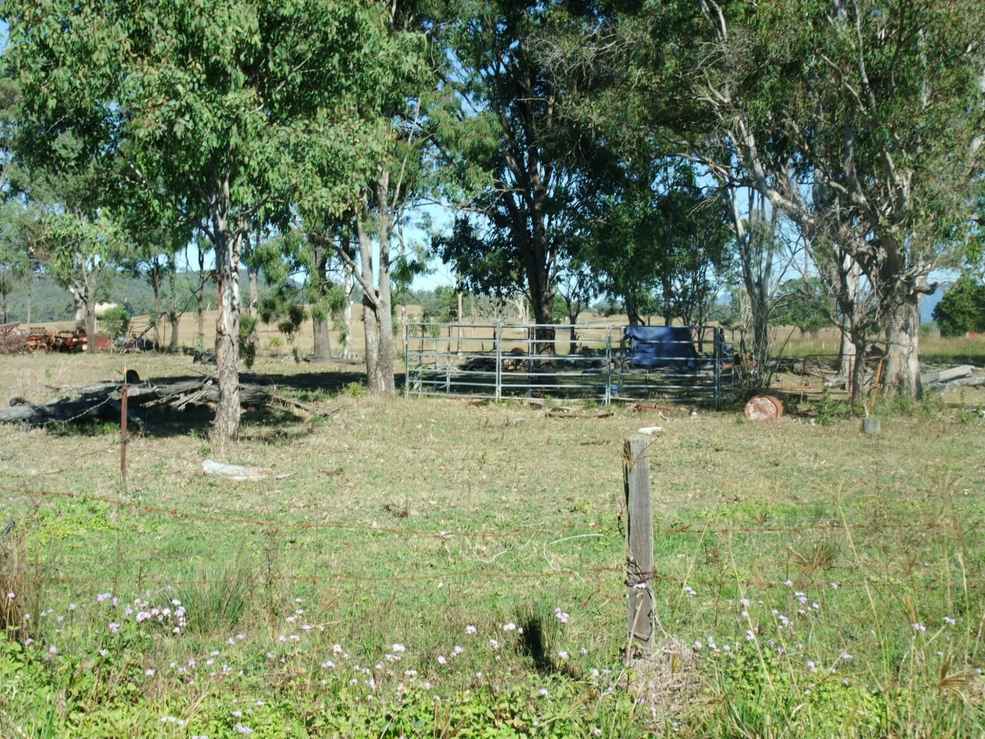 Lot 4 Old Rosevale Road, Rosevale - Thumbnail 7