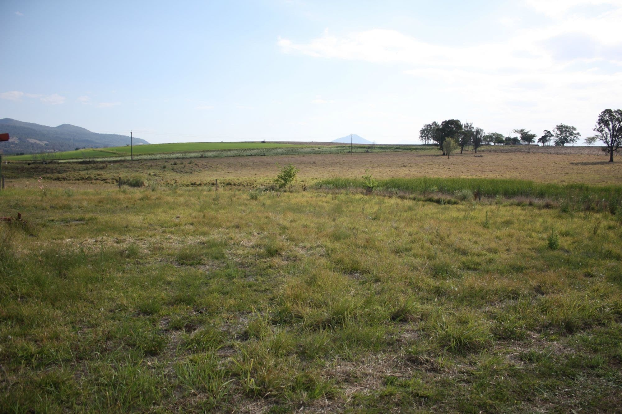 13 Eagle Street, Kalbar - Thumbnail 4