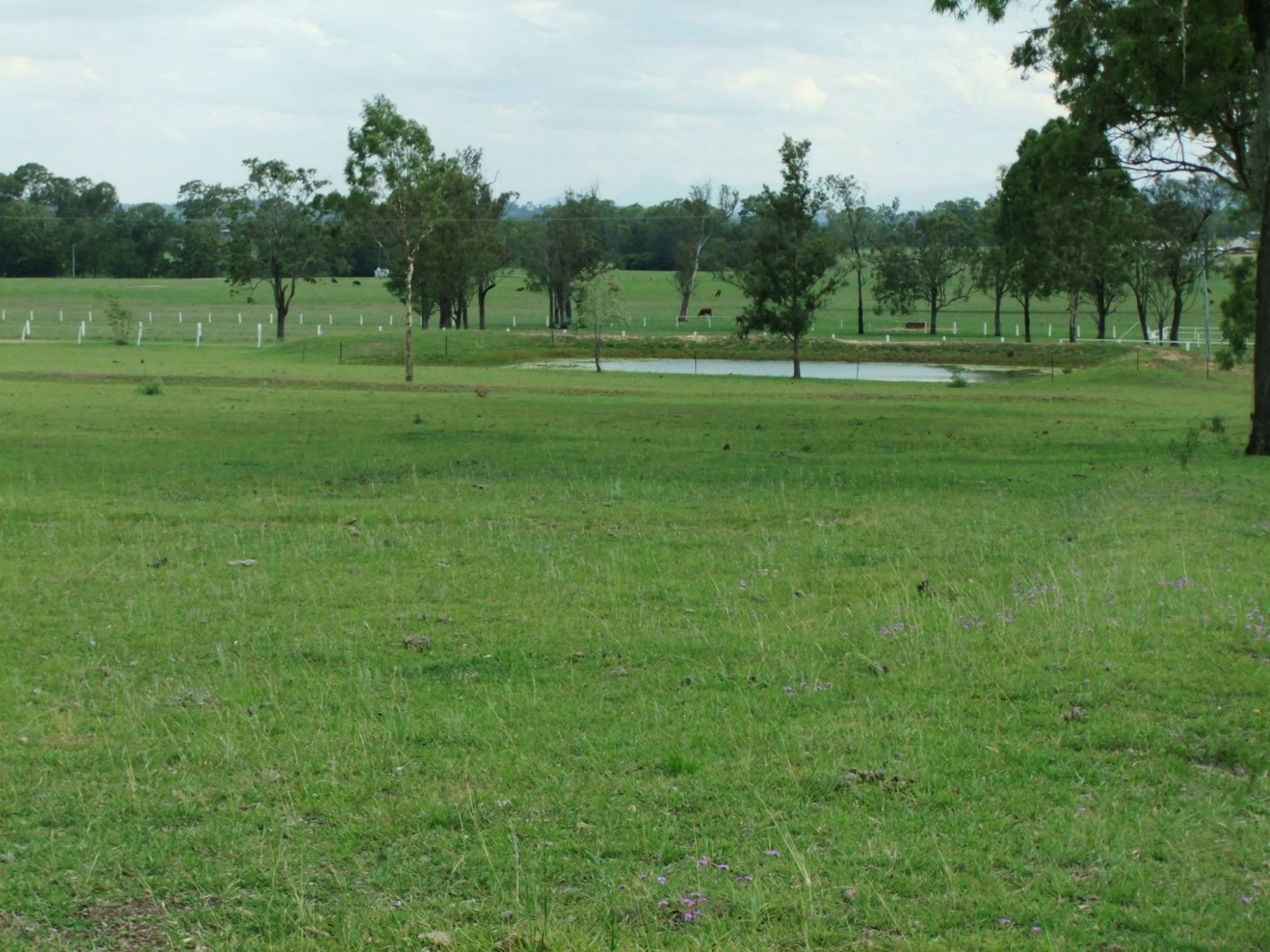 106 Charles Chauvel Drive St, Harrisville - Thumbnail 2