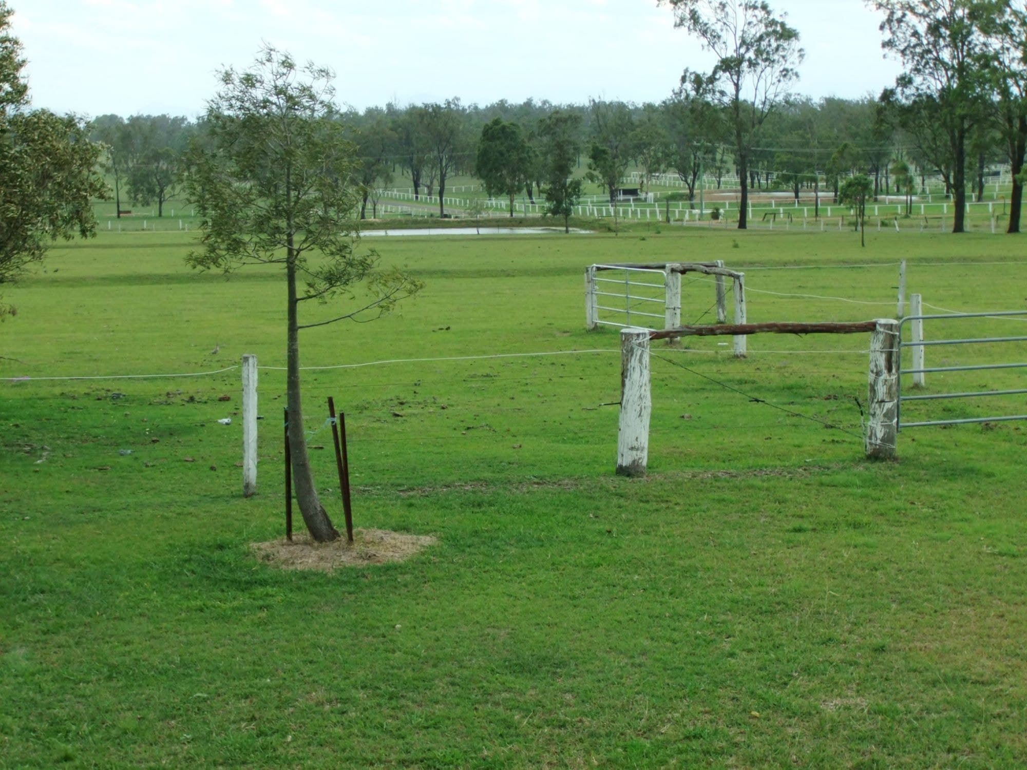 106 Charles Chauvel Drive St, Harrisville - Thumbnail 8