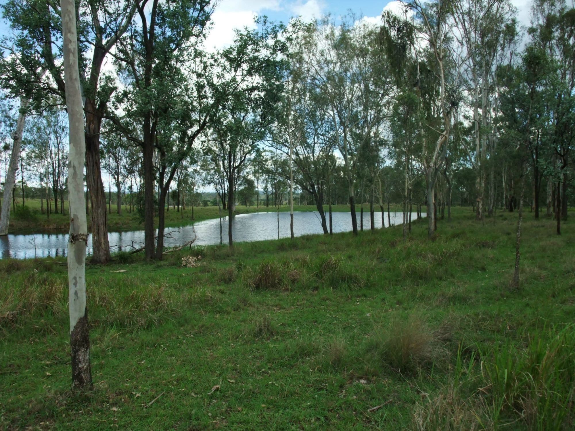 Lot 3 OLD ROSEVALE ROAD St, Warrill View - Image 1