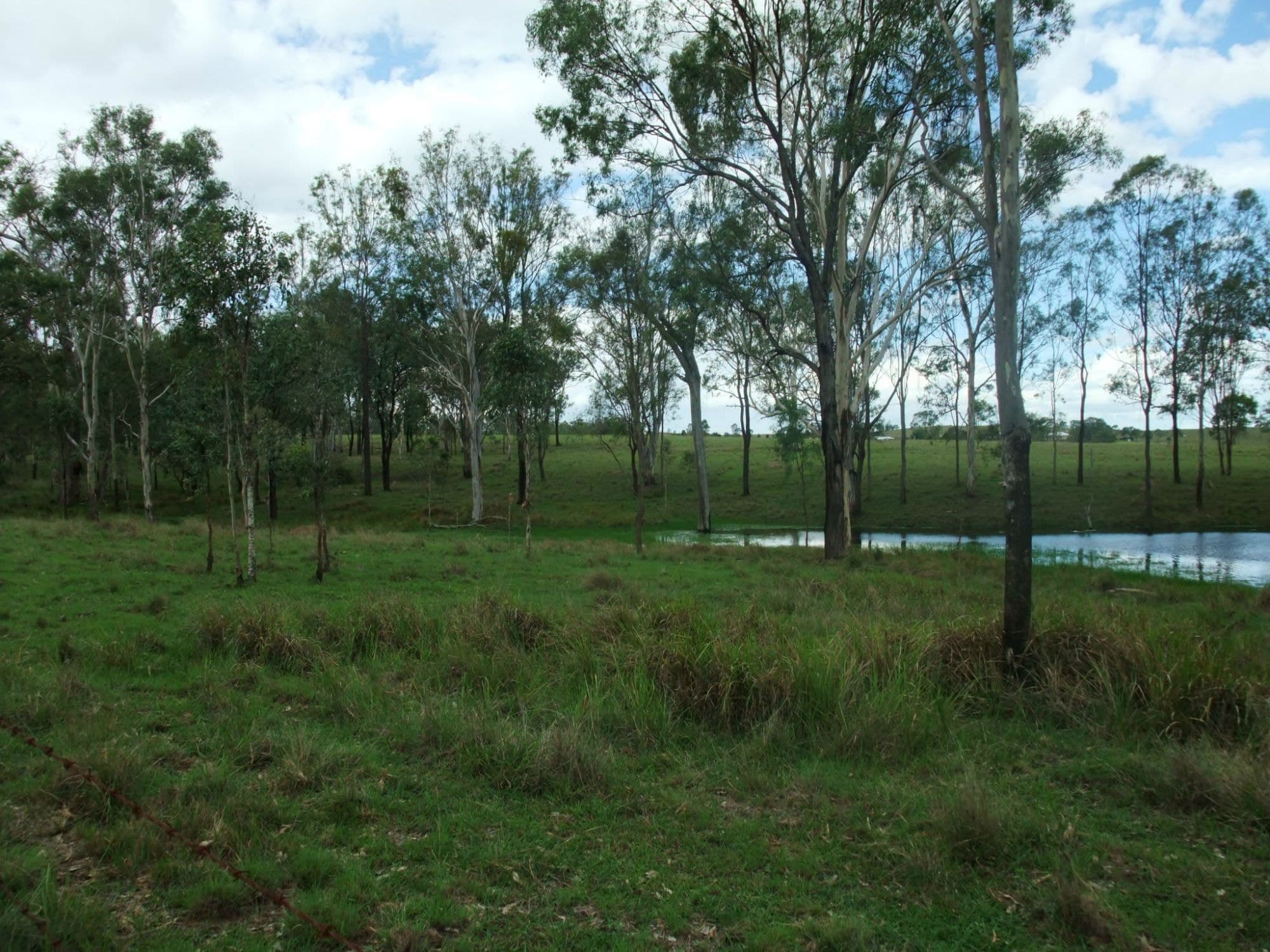 Lot 3 OLD ROSEVALE ROAD St, Warrill View - Thumbnail 2