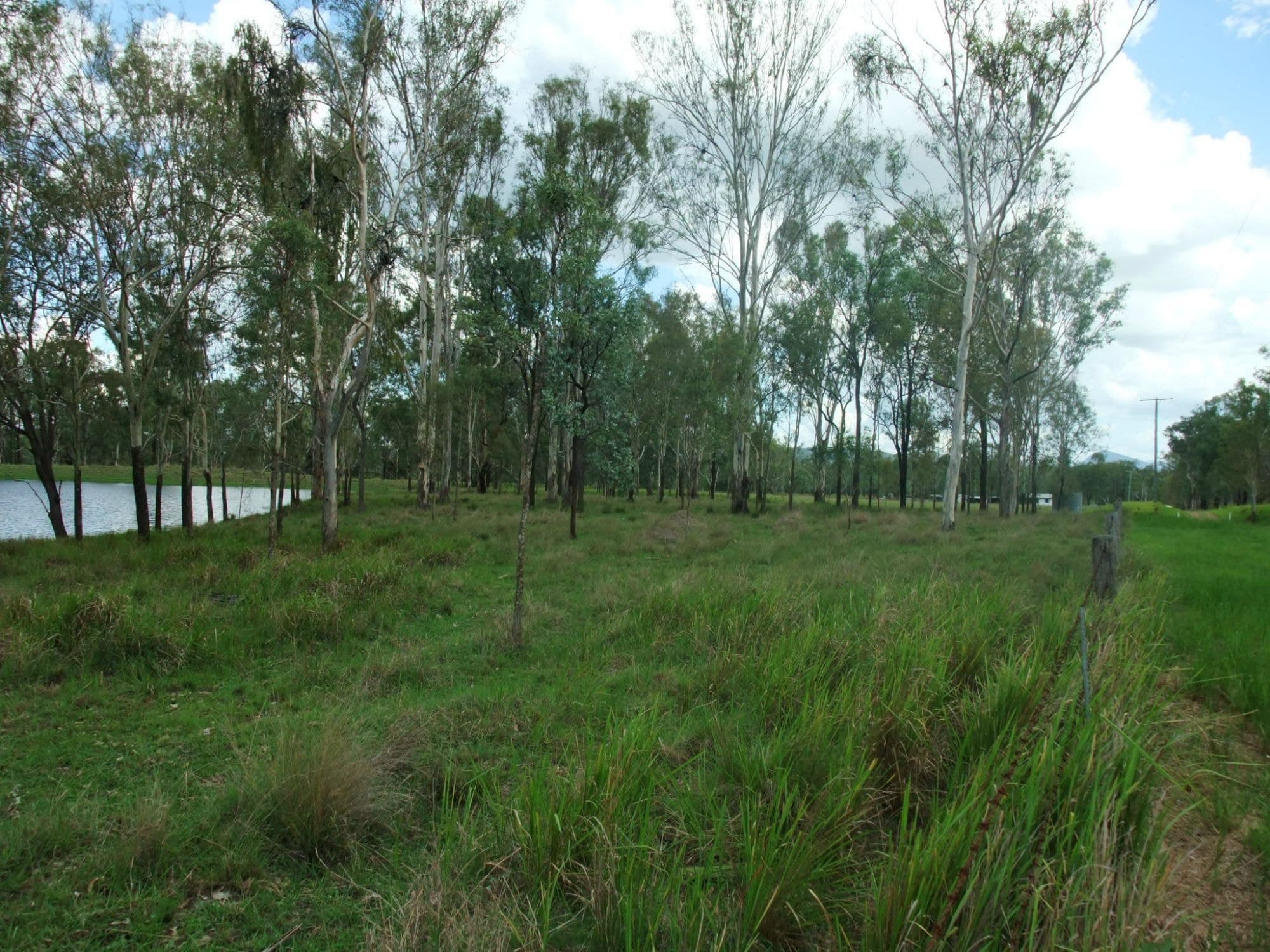 Lot 3 OLD ROSEVALE ROAD St, Warrill View - Thumbnail 3