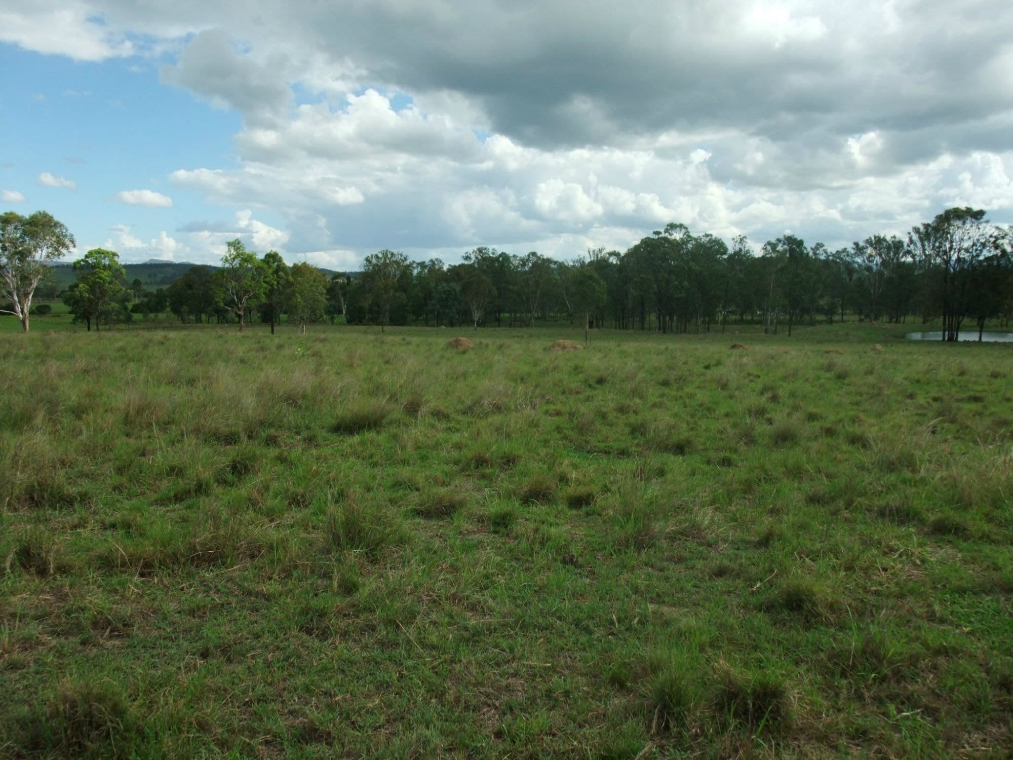 Lot 3 OLD ROSEVALE ROAD St, Warrill View - Thumbnail 5