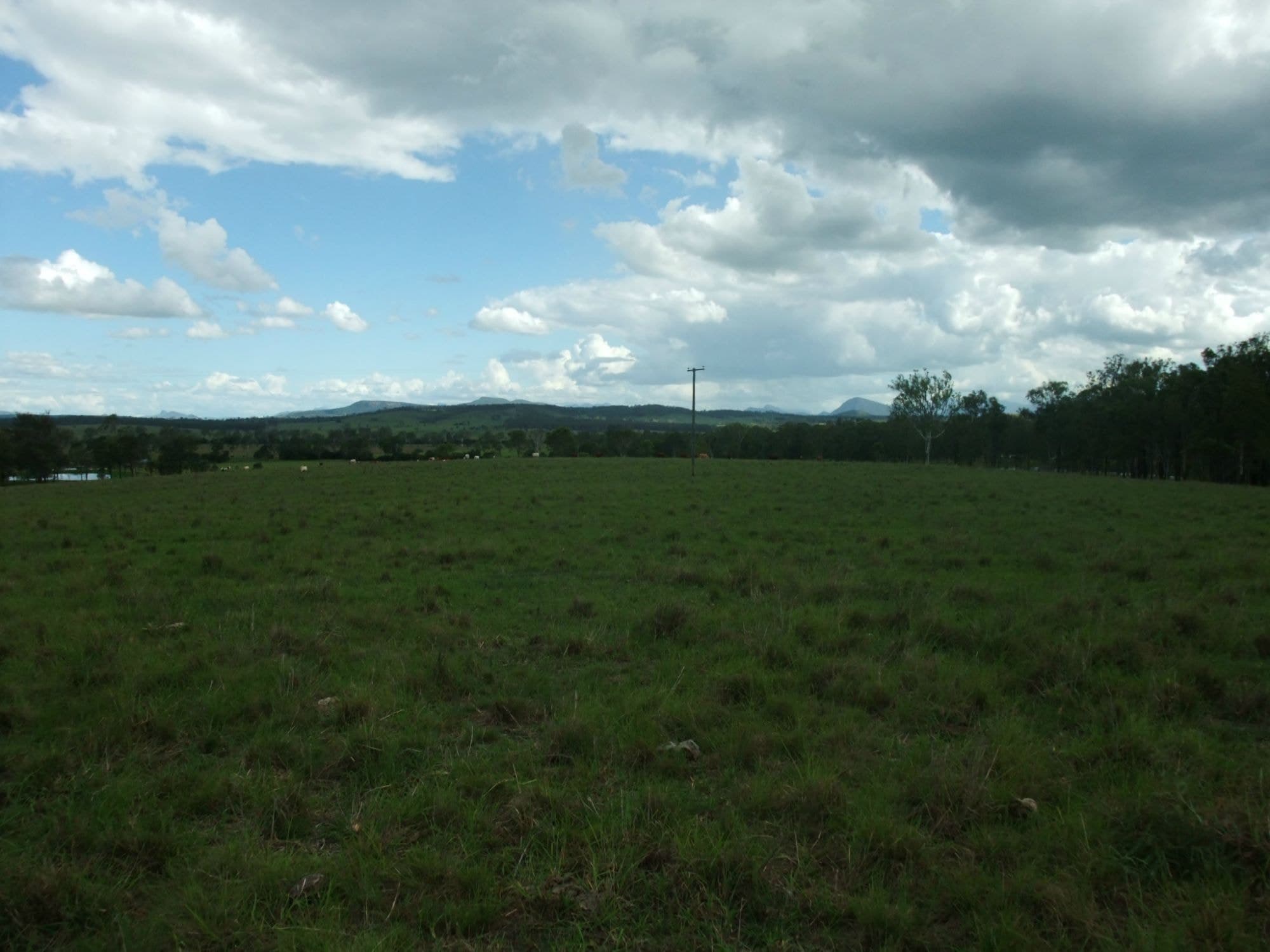 Lot 3 OLD ROSEVALE ROAD St, Warrill View - Thumbnail 6