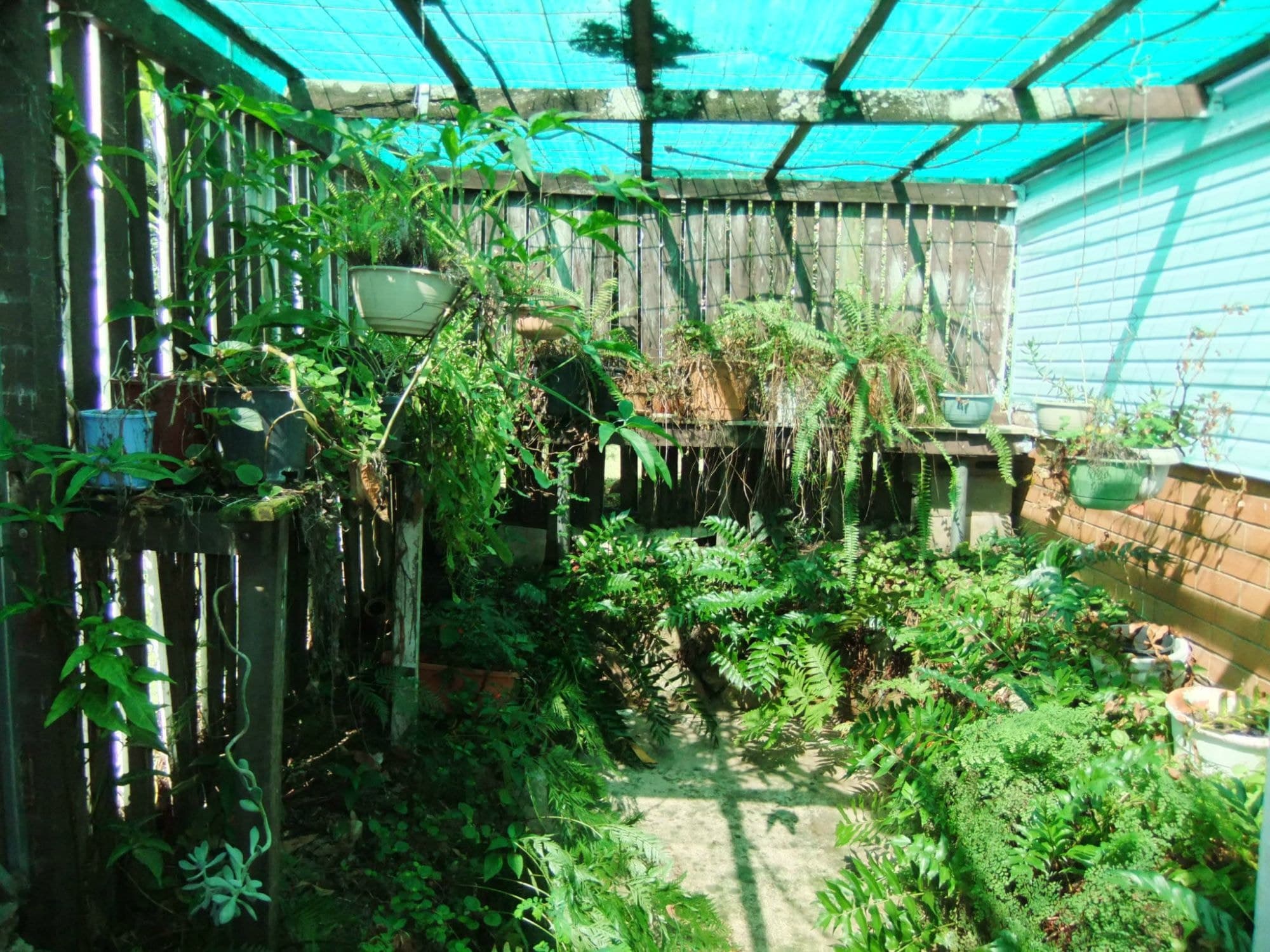 14 Ann Street, Kalbar - Thumbnail 8
